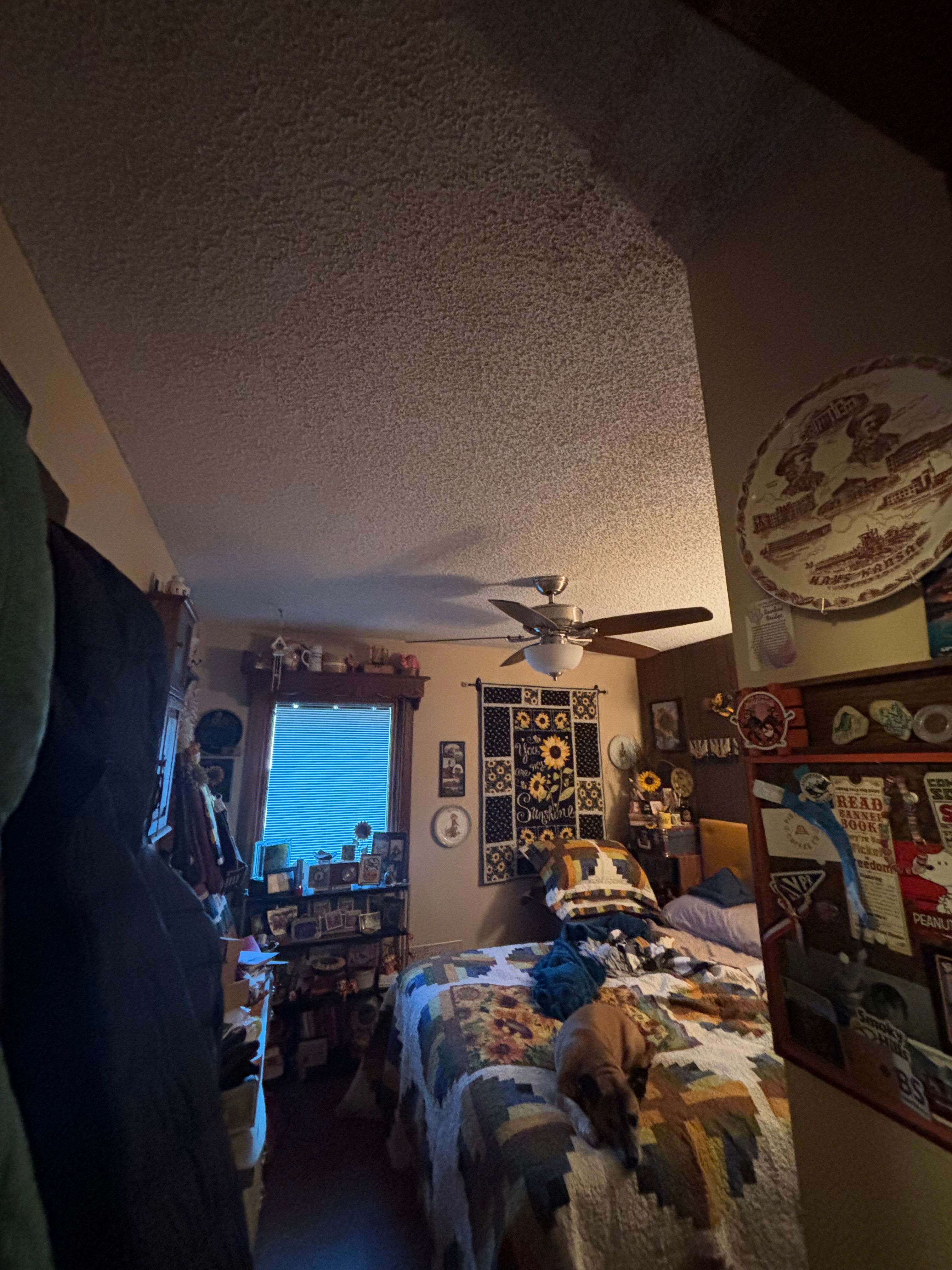  for Zimmer Construction & Remodeling in WaKeeney, KS