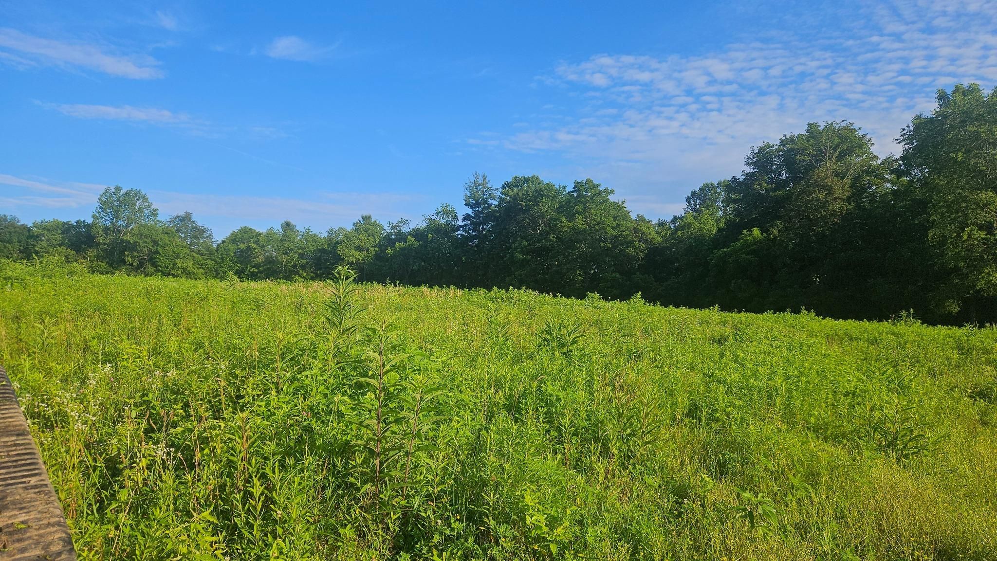 All Photos for B&B Land Management in Jamestown, TN