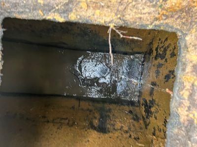  for Reliable Septic Tank Services in Marion County, FL in Reddick, FL