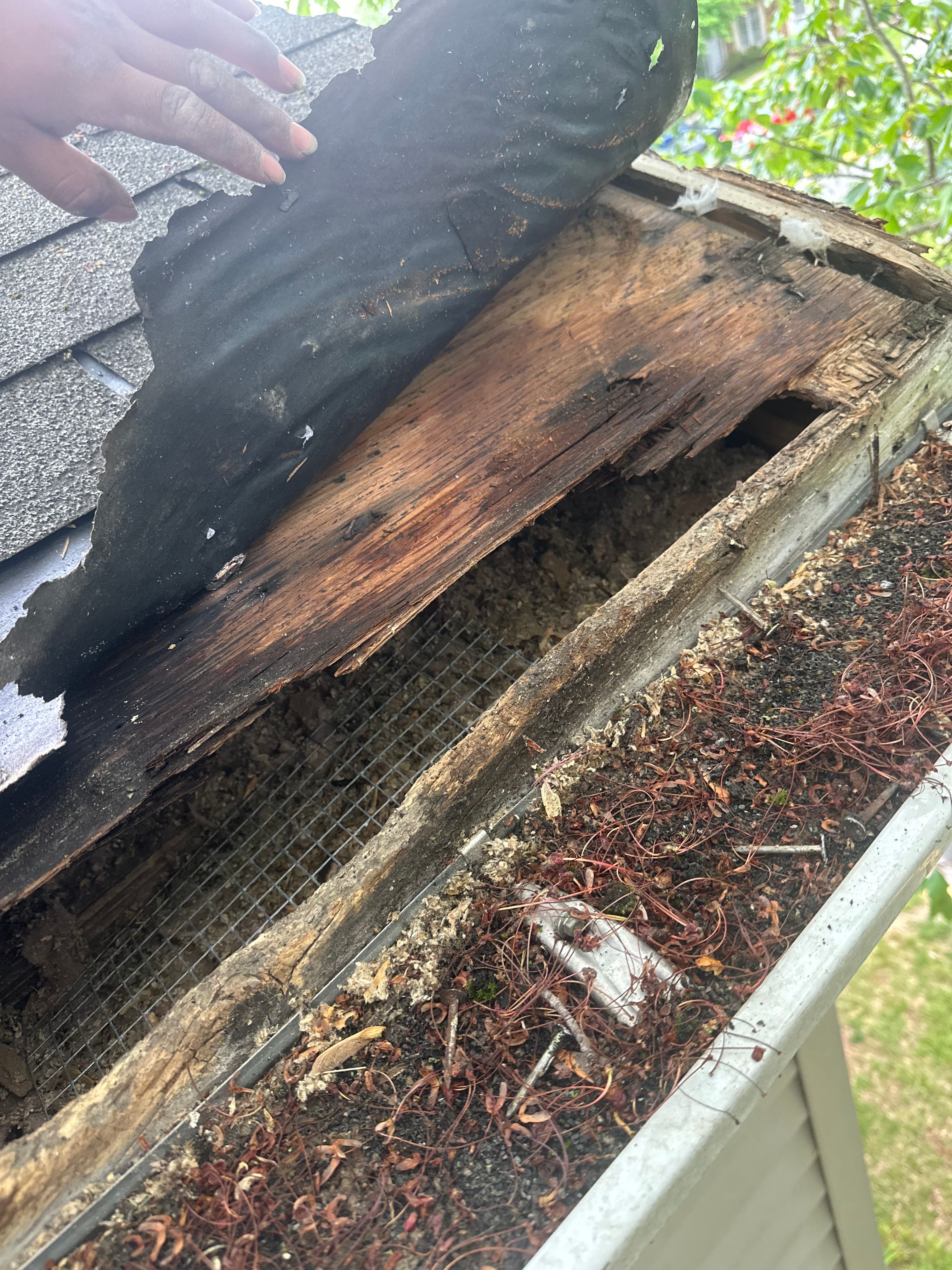  for JAG Handyman Services in Silver Spring, MD