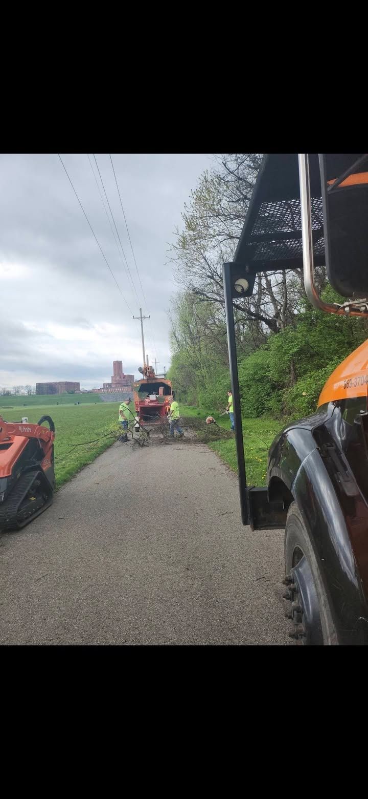  for Carpenter's Tree Service in Aurora, IN