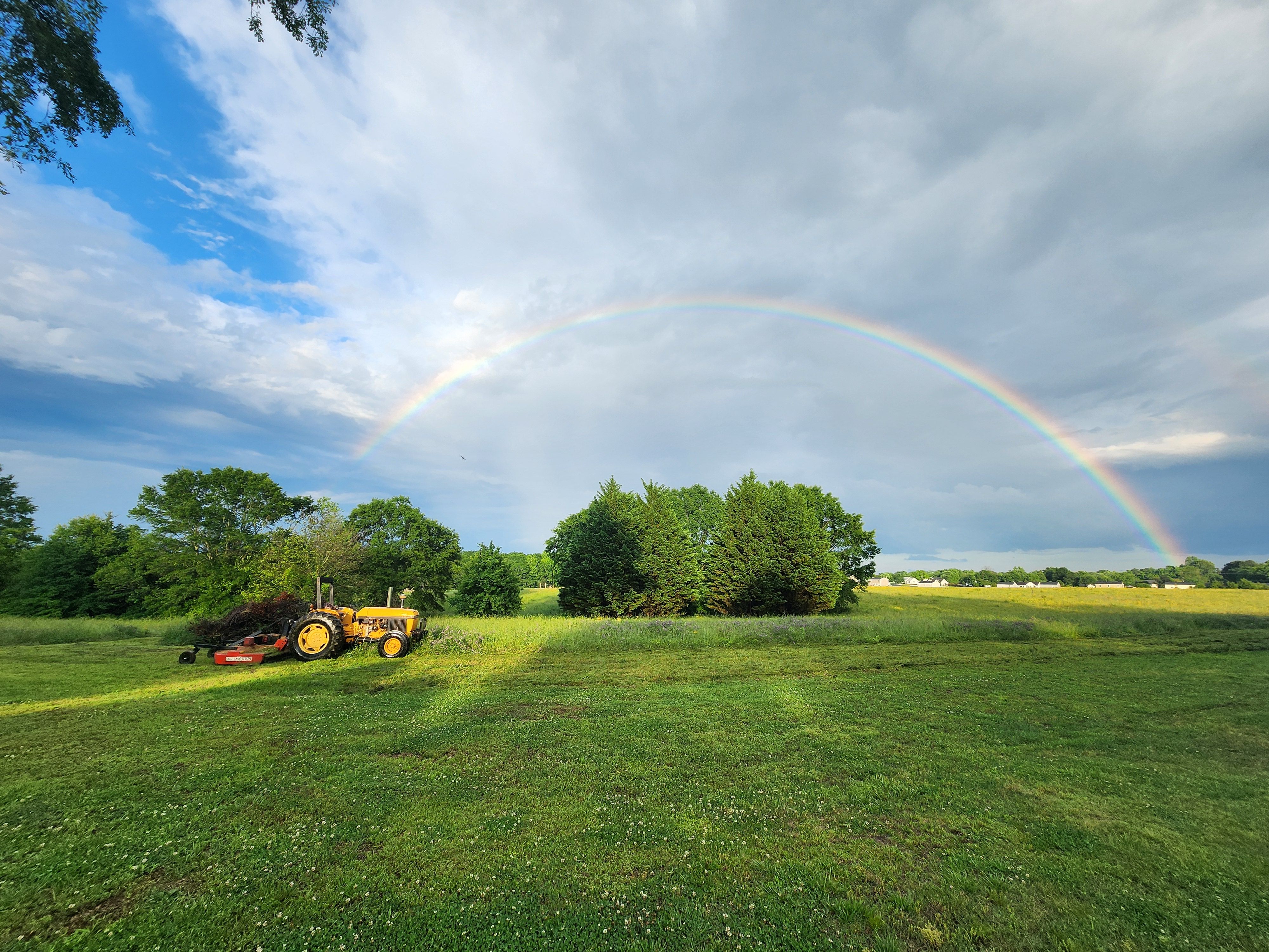  for Owens Tree Services in Inman, SC