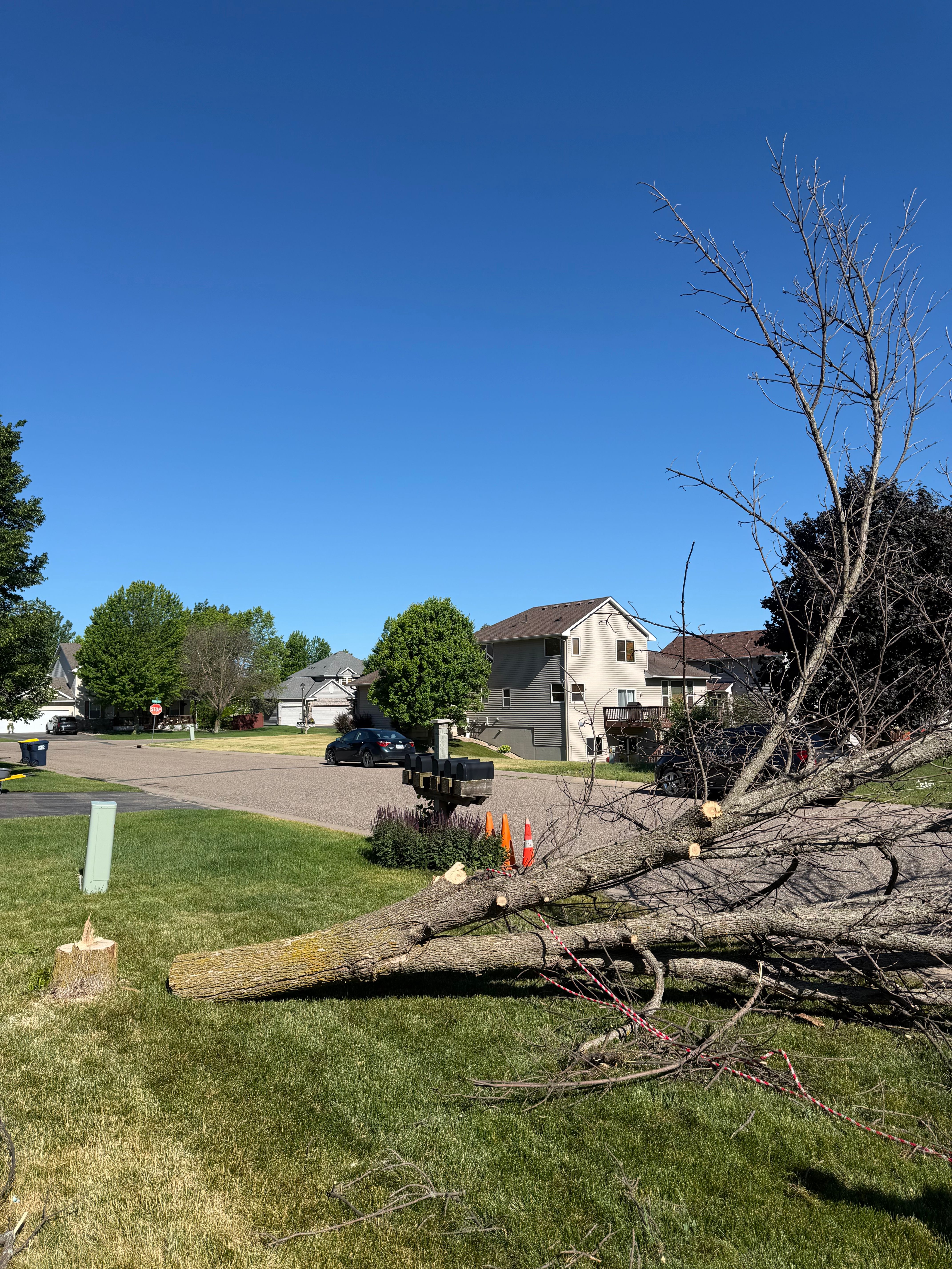  for Division One Landscapes in Elko New Market, MN
