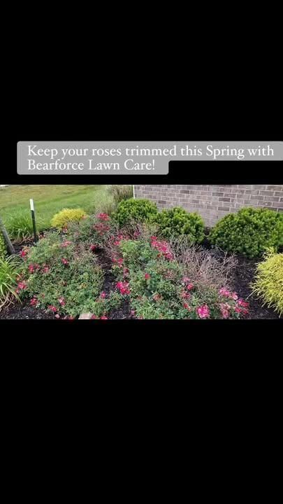  for Bearforce Lawn Care LLC in Greenfield, IN