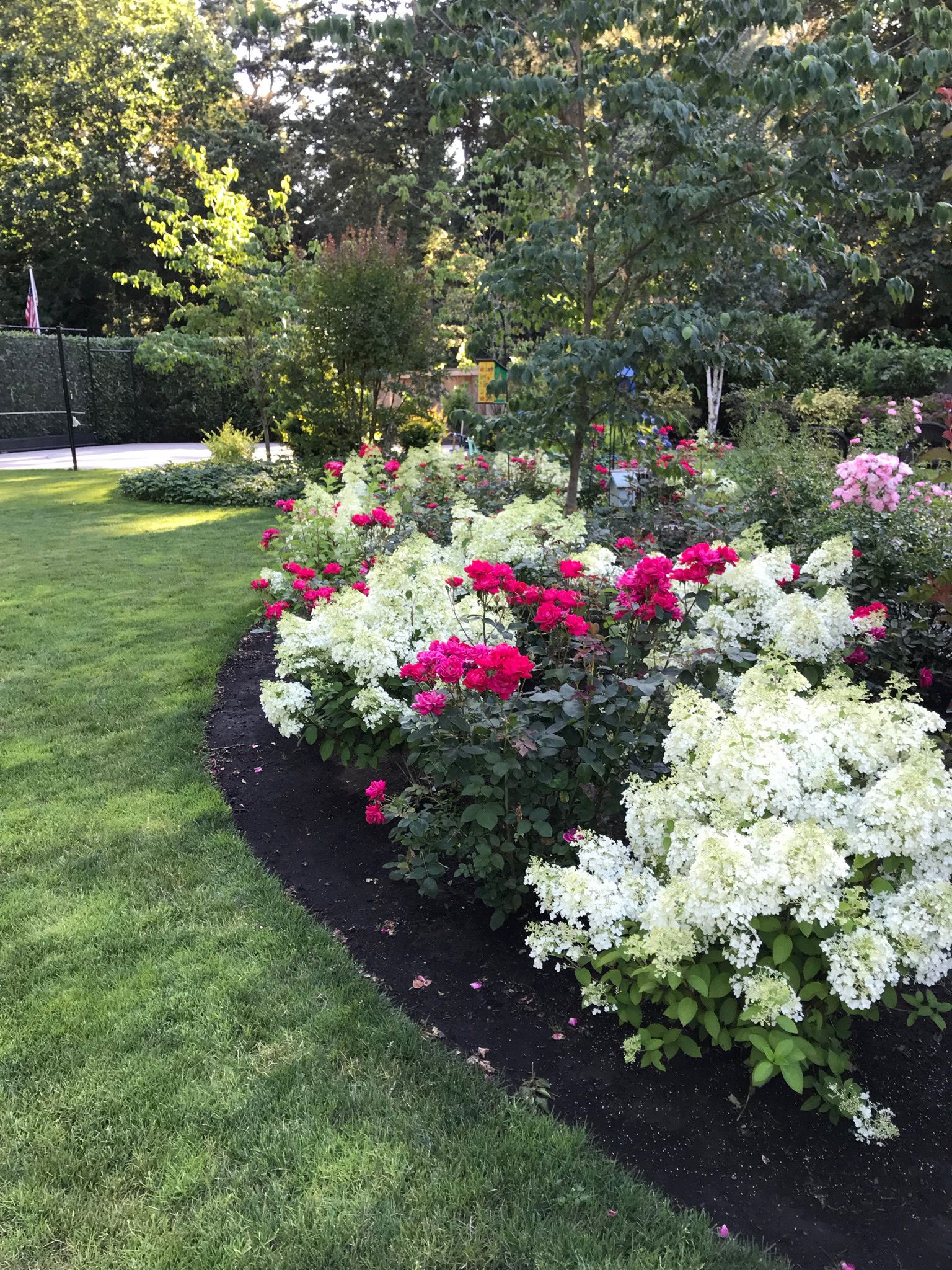  for Courtney Lewis Landscape Design in Portland, OR