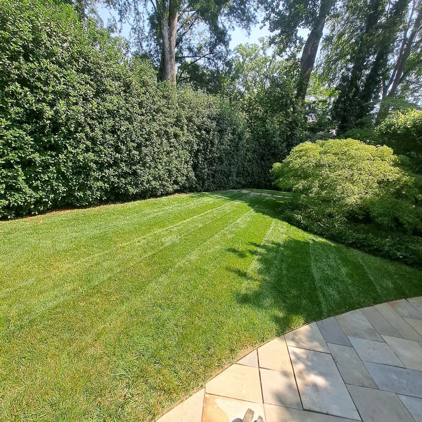 Lawn Care for Dee's Lawn Care Services in Lake Wylie, SC