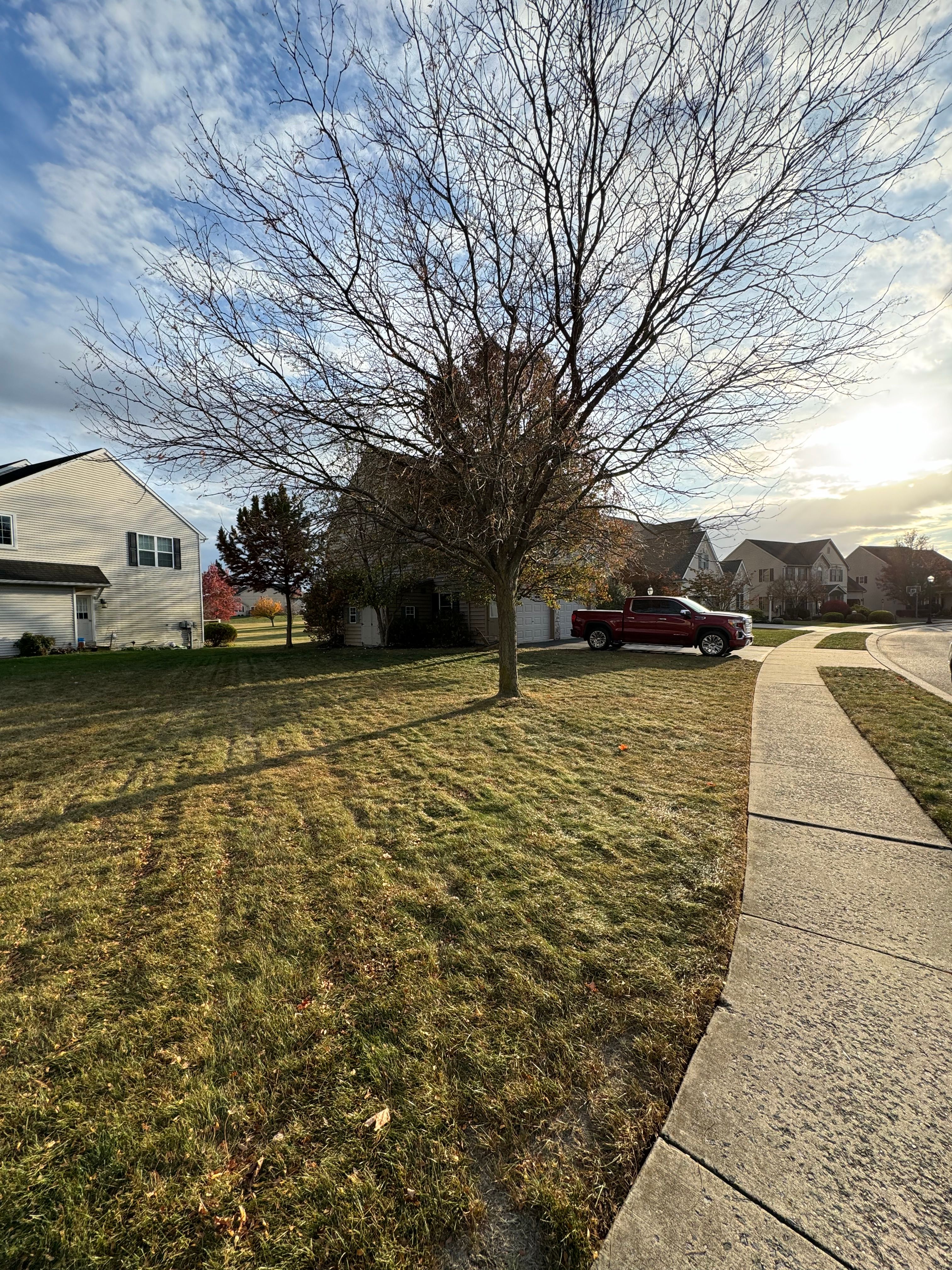  for Landscape & Lawn Care Pros in Temple, PA