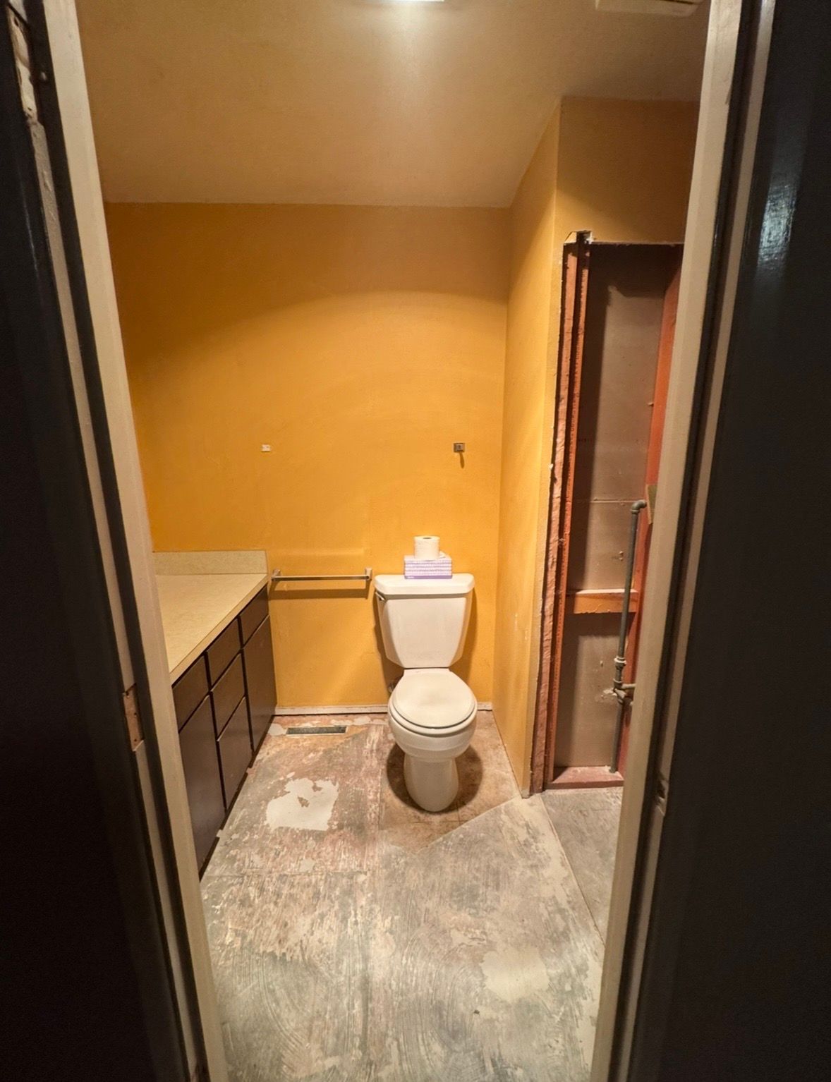  for Trinity Painting & Construction in Douglas County, OR