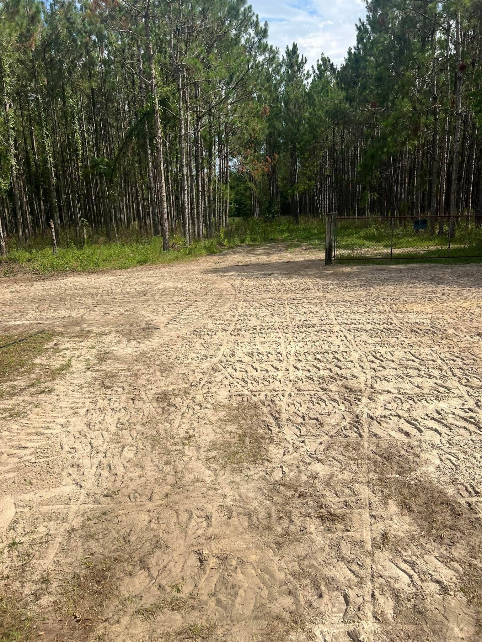  for Warners Tree Solutions in Live Oak, FL