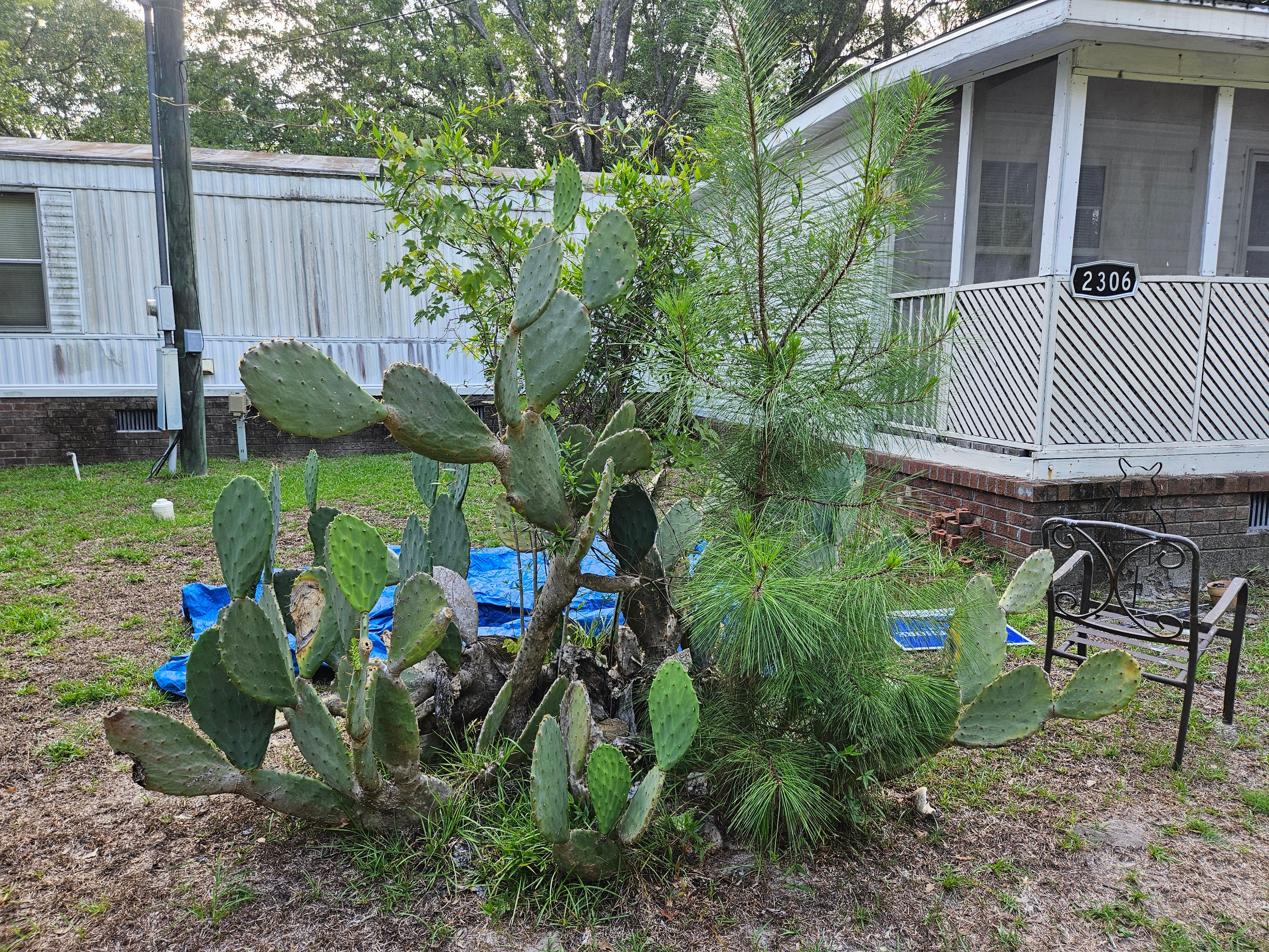  for Just Mow and Go Lawn Service in New Bern, NC