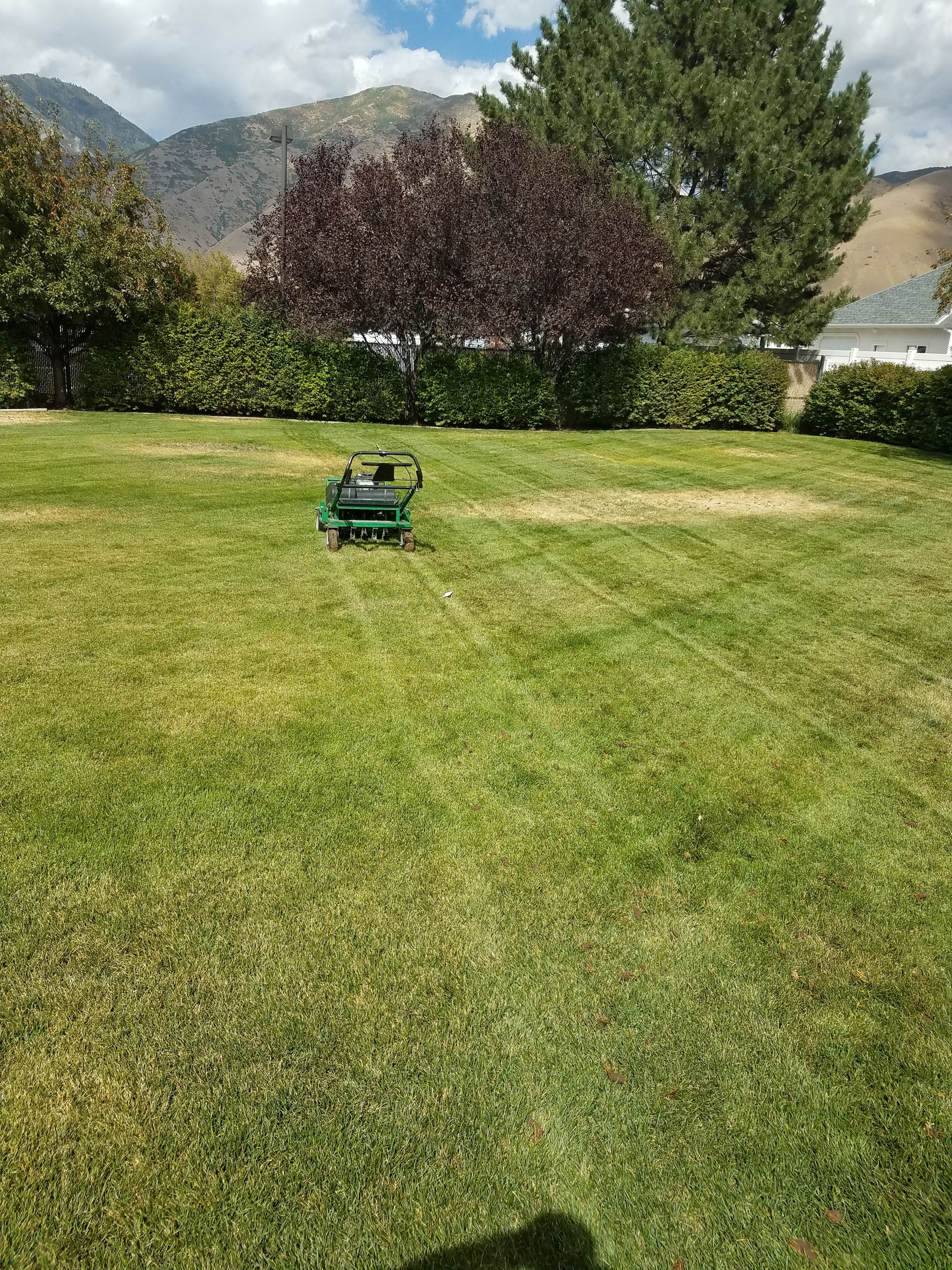  for Platinum Lawn Service in Santaquin, UT