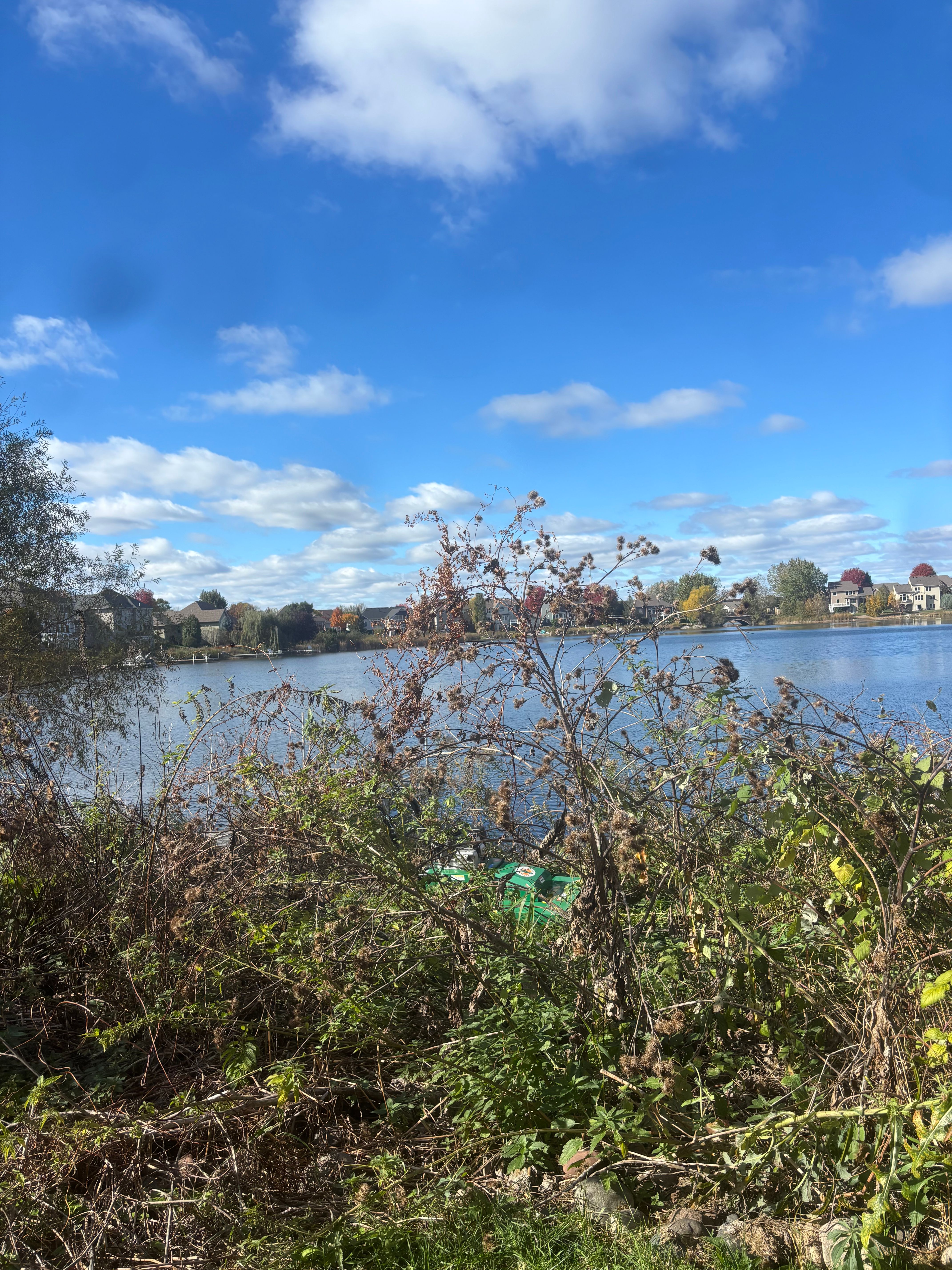  for Burgwald Outdoor Services in Blaine, MN