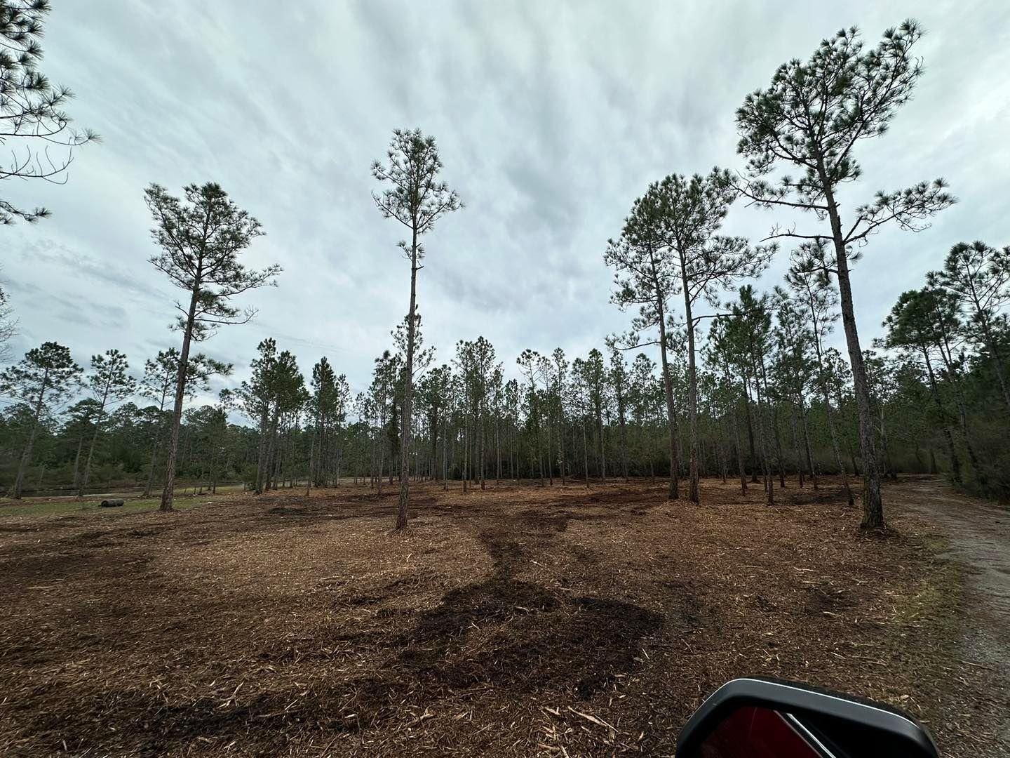 All Photos for White’s Land Maintenance in Milton,, FL