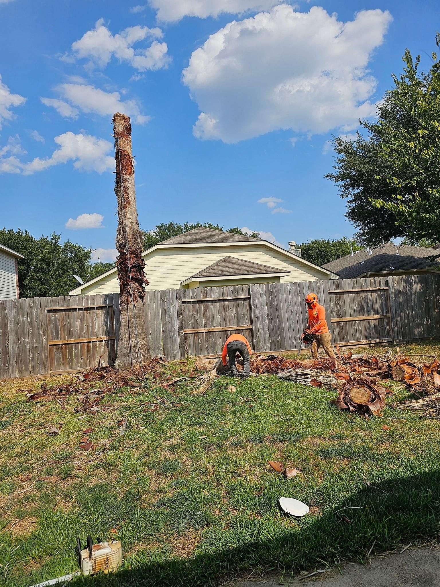  for Servin's Tree Care  in Houston, TX