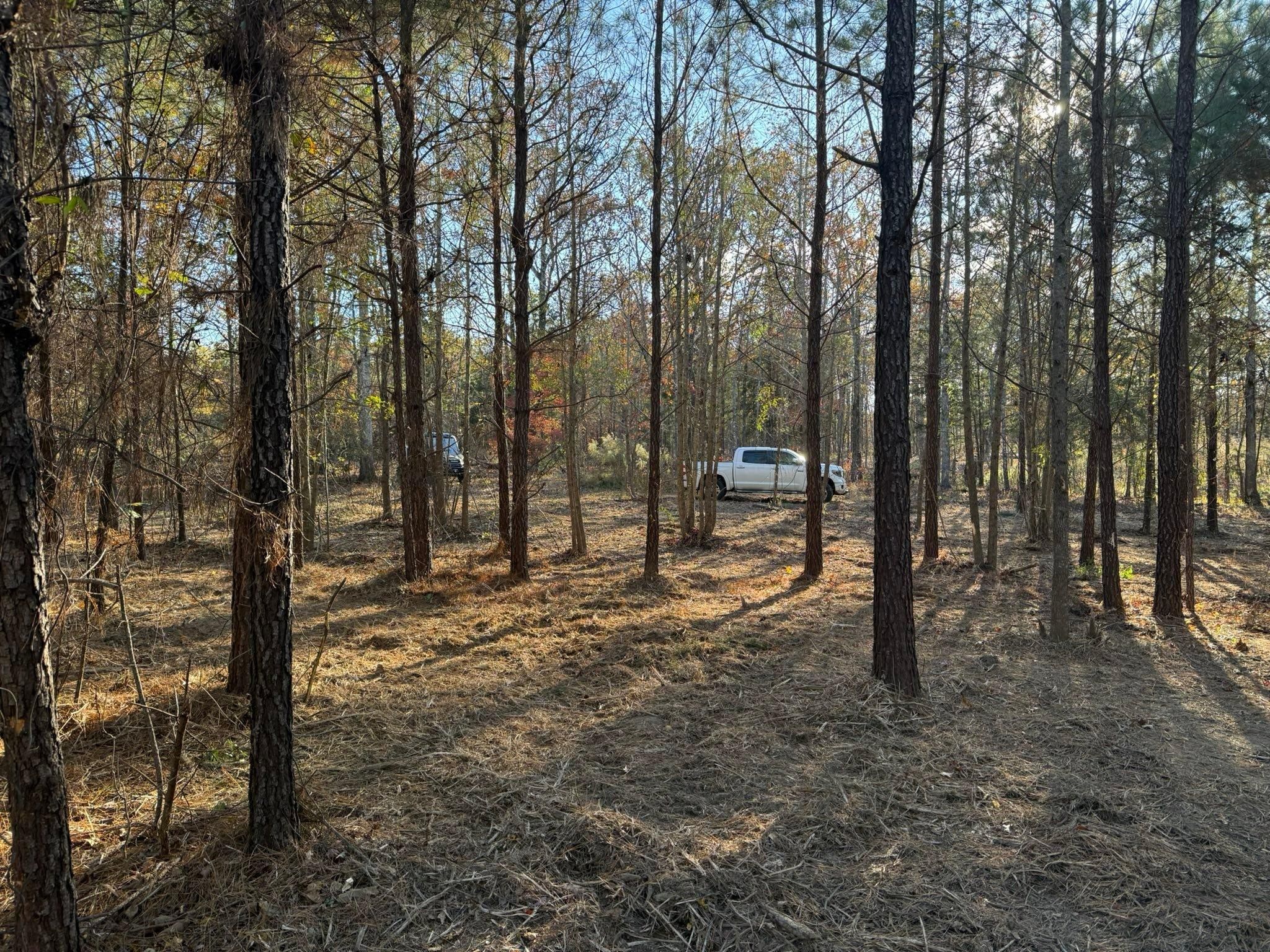  for Southern Land Improvements in Edgefield, SC