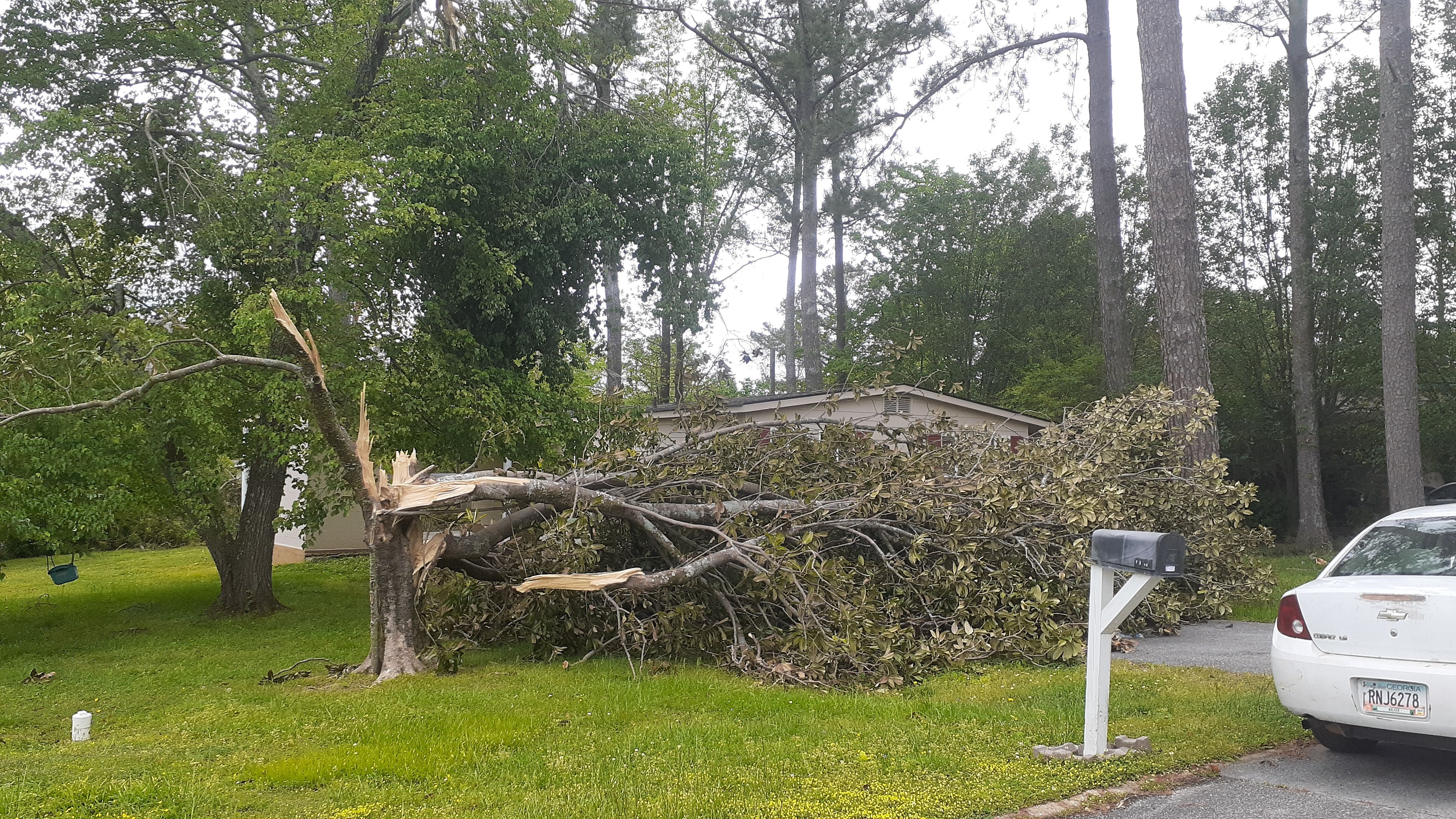  for Professional Tree Service USA in Chattanooga, TN
