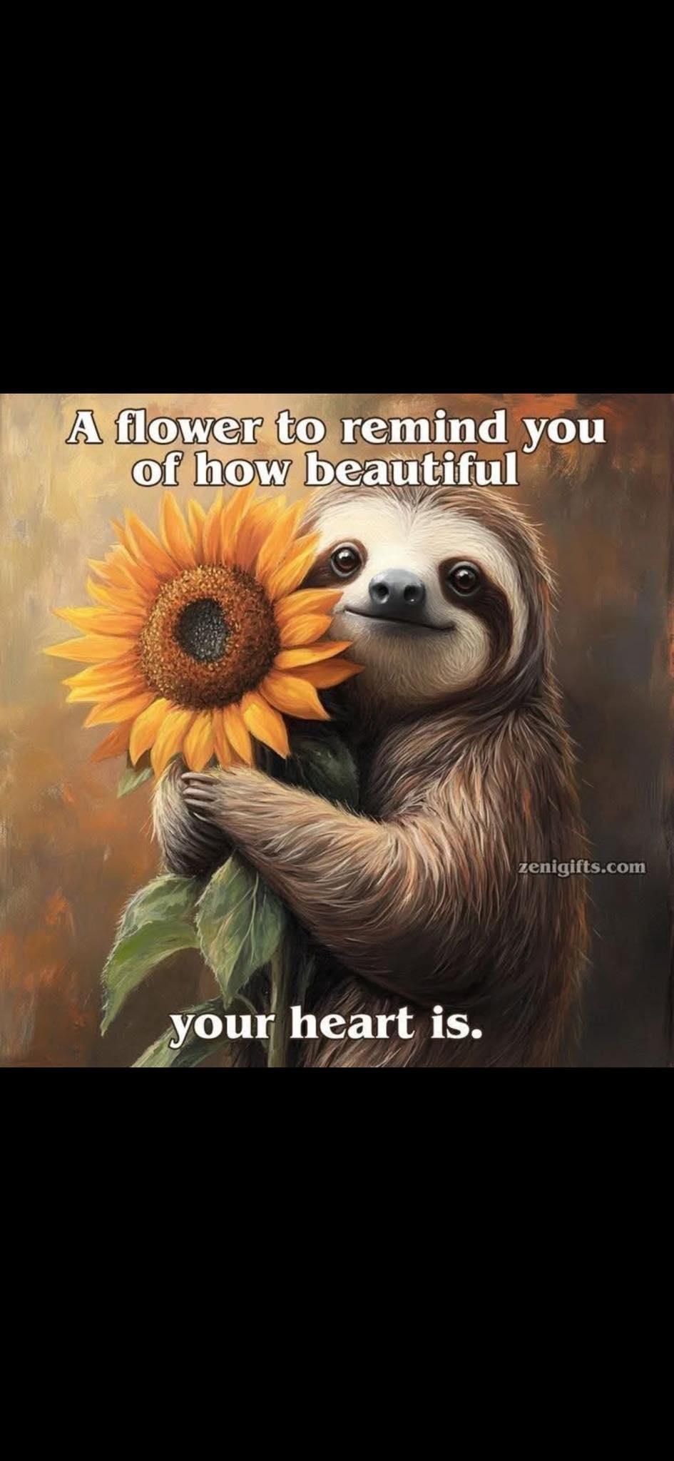  for The Dailey Daisy in Hardwick, VT