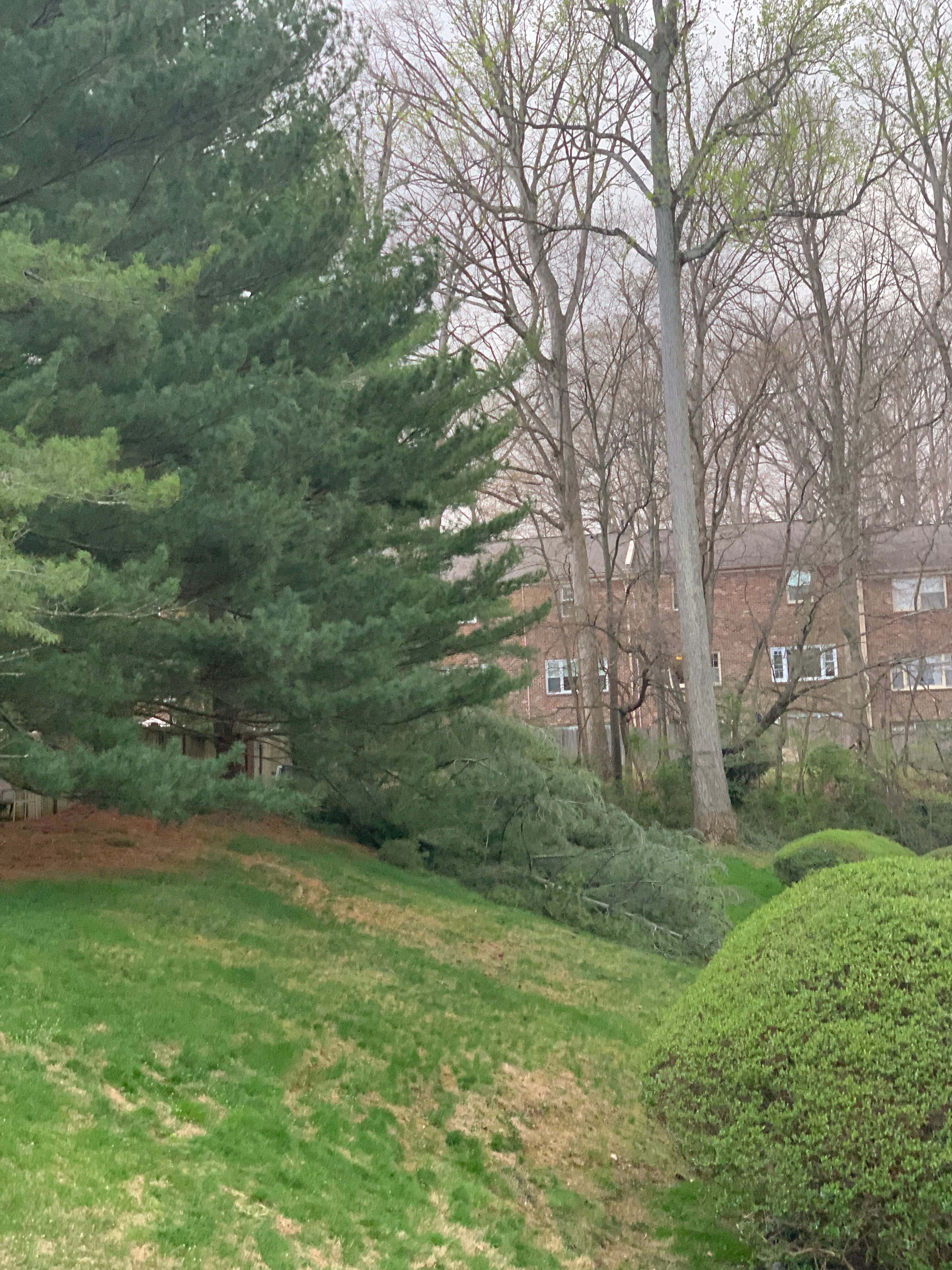  for R Merkli Inc. in Mount Vernon , VA