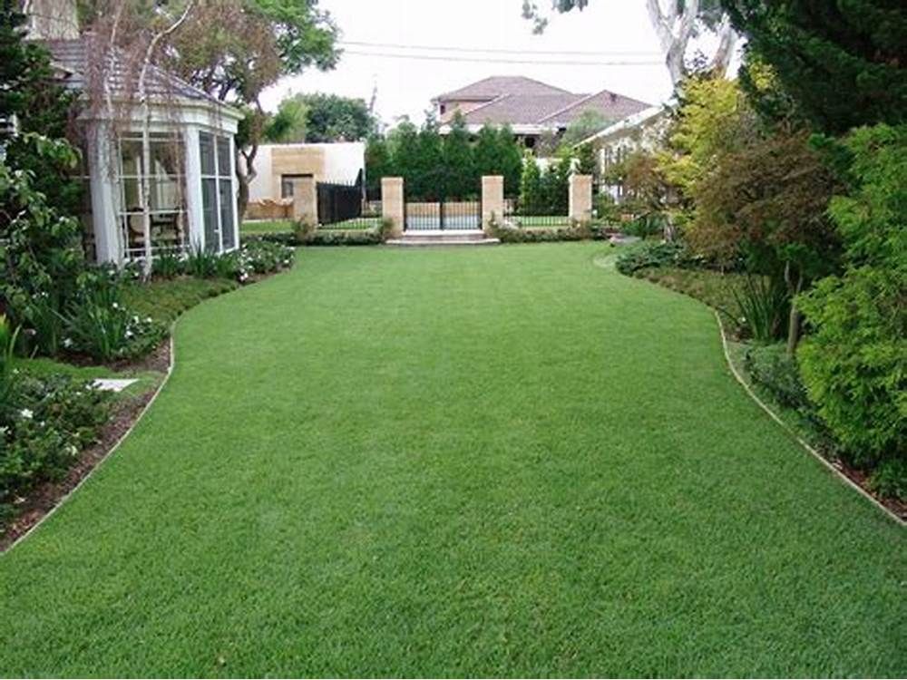 Lawn Care for Rey Landscaping & Lawn service LLC in West Palm Beach,  FL
