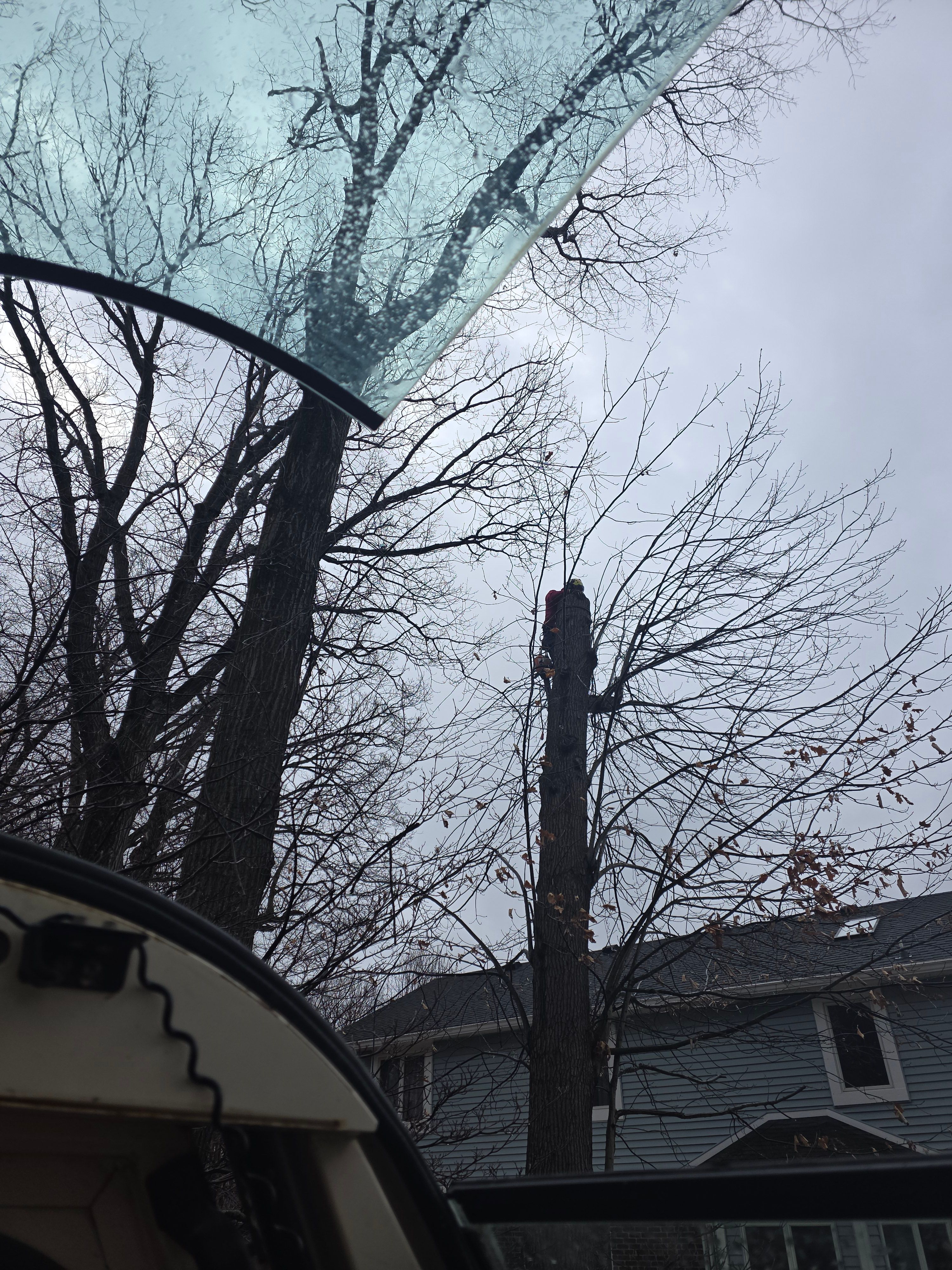  for Advanced Tree Solutions in Rockville, IN