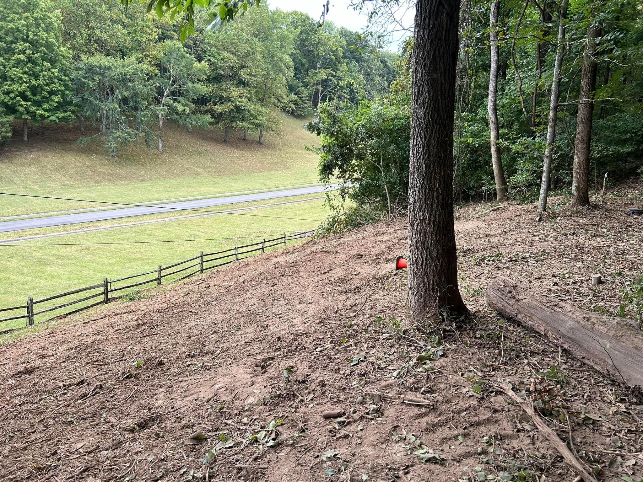  for TriStar Land Clearing & Mulching in Murfreesboro, TN