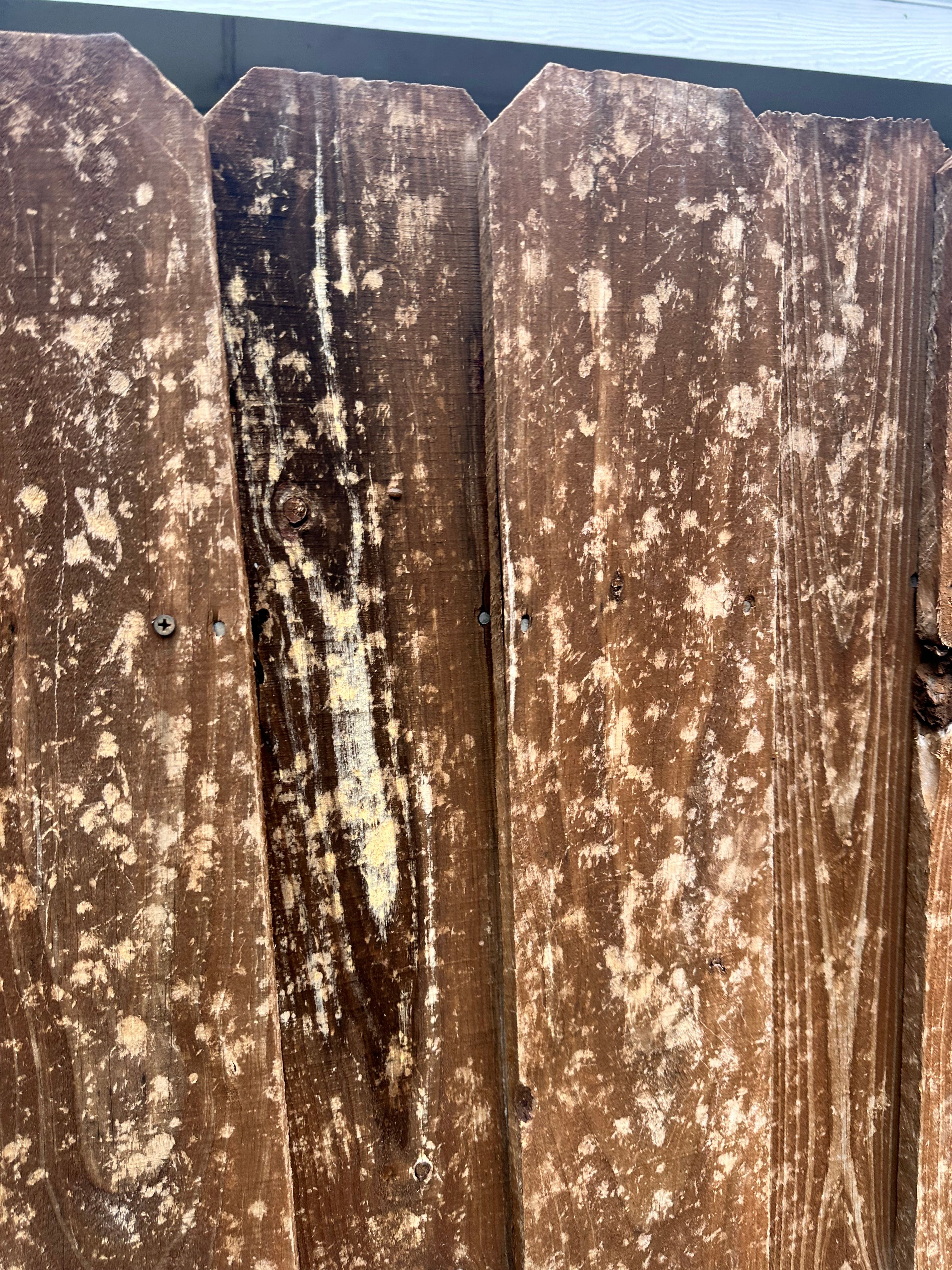 HAIL NO! for Major League Roofing in Frisco, TX