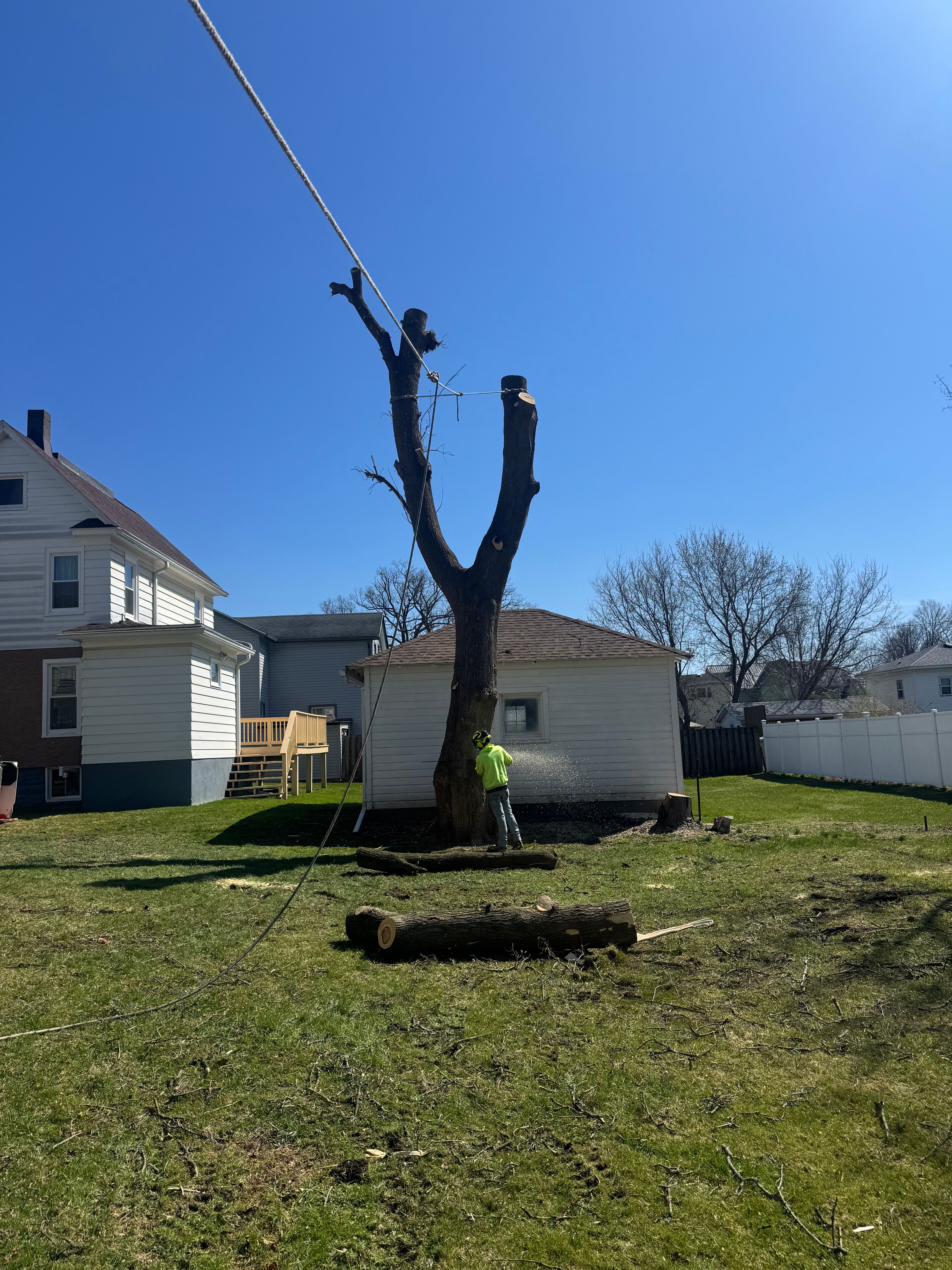 Tree Removal for Licensed to Cut Tree Service in Athens, PA