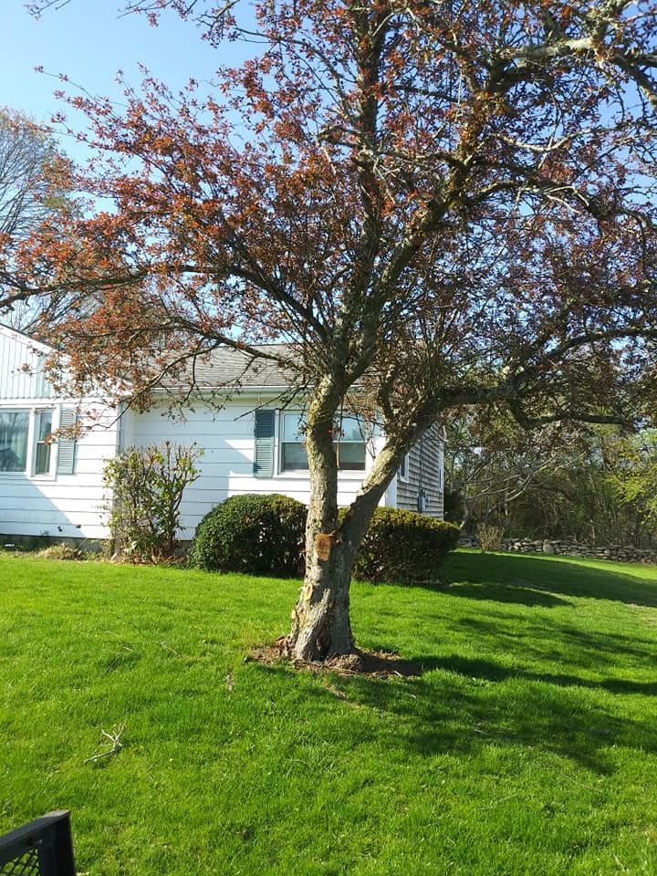 Landscaping for Cadieux's Landscaping in Somerset, MA
