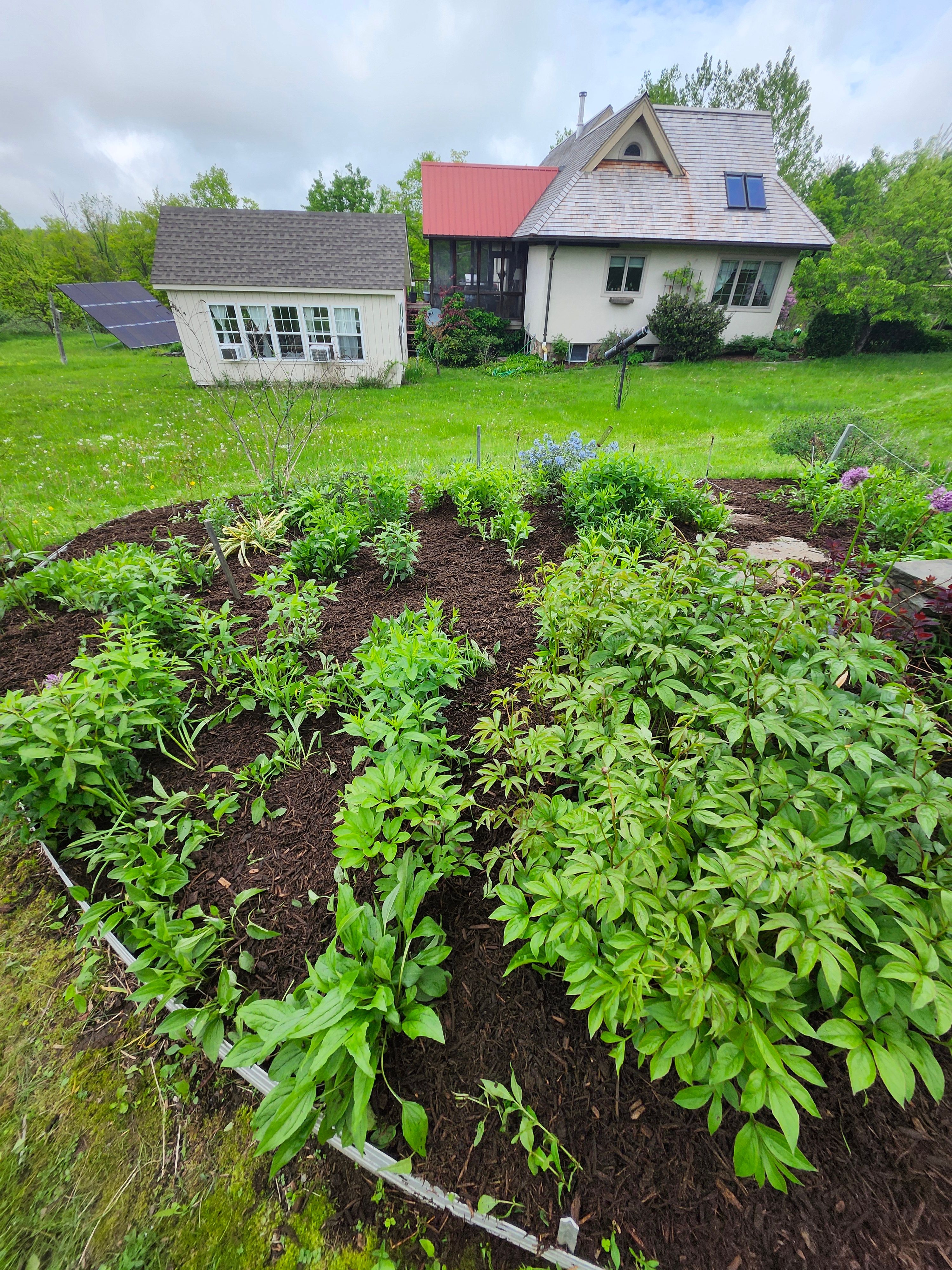 Muclhing & Weeding for Landscape Innovations LLC in Torrington, CT