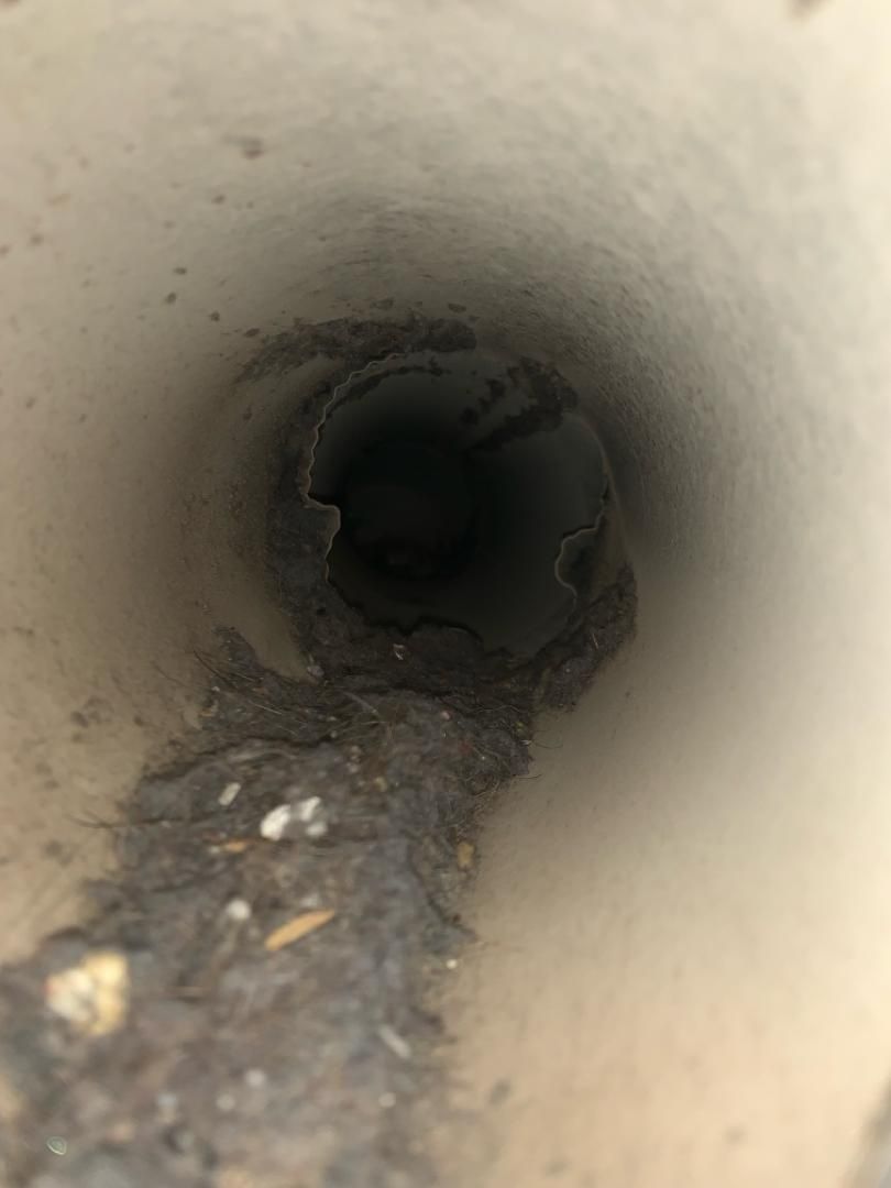 All Photos for Soapy Suds Services in St. Charles, IL