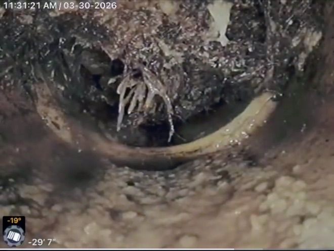 All Photos for Golden Peak Inspection in Golden, CO