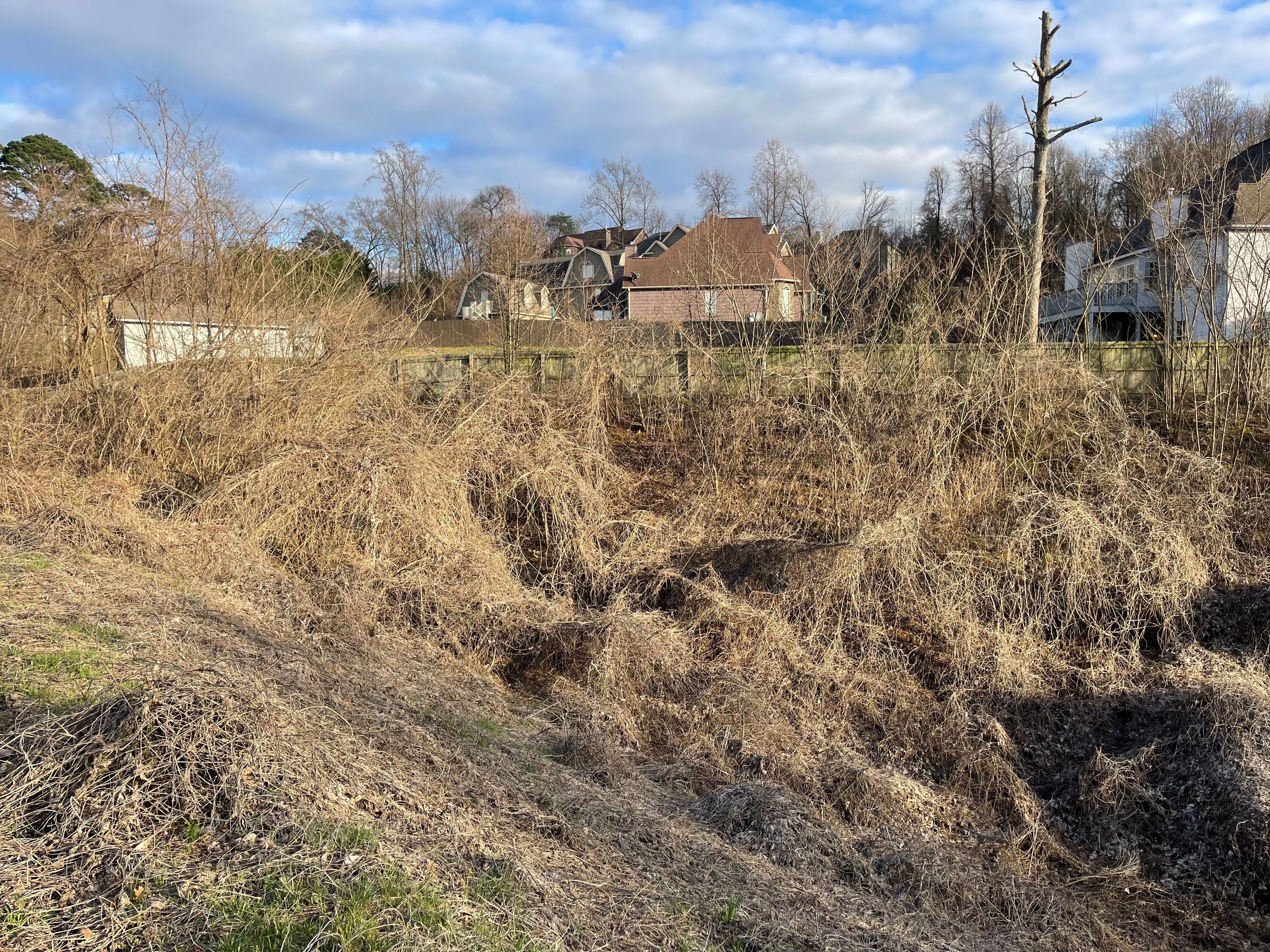 All Photos for F&CO Excavation in Clinton, TN
