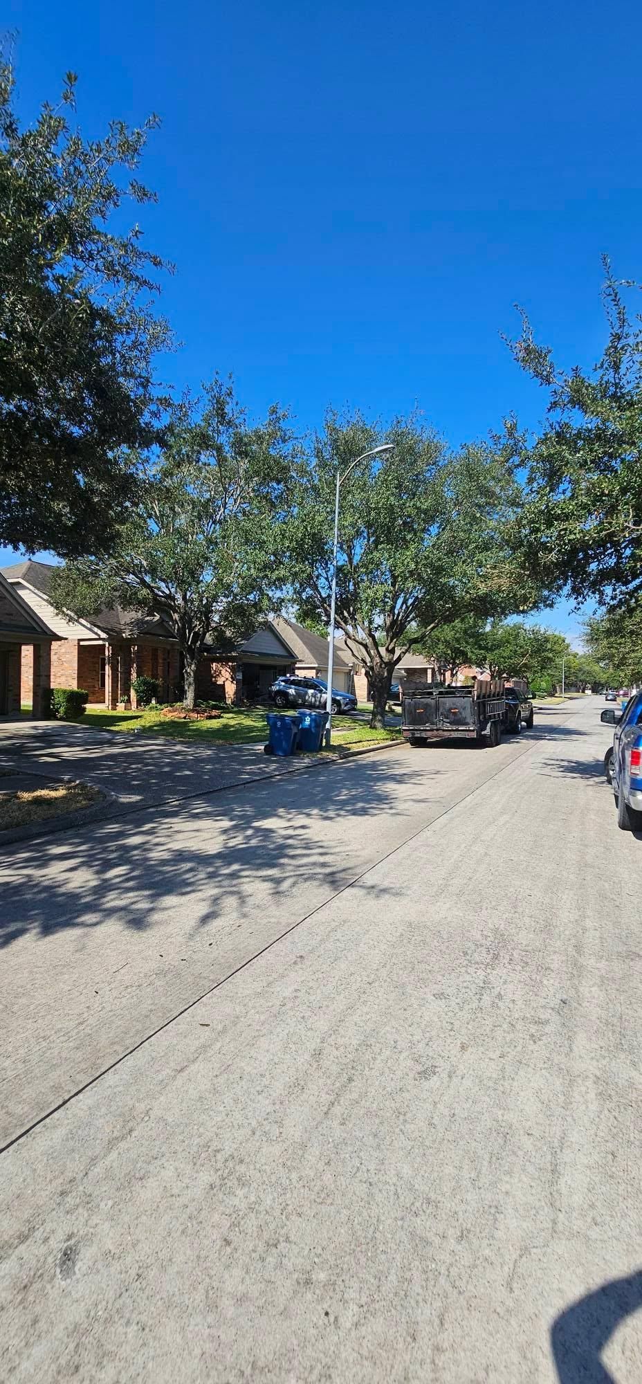  for Servin's Tree Care  in Houston, TX