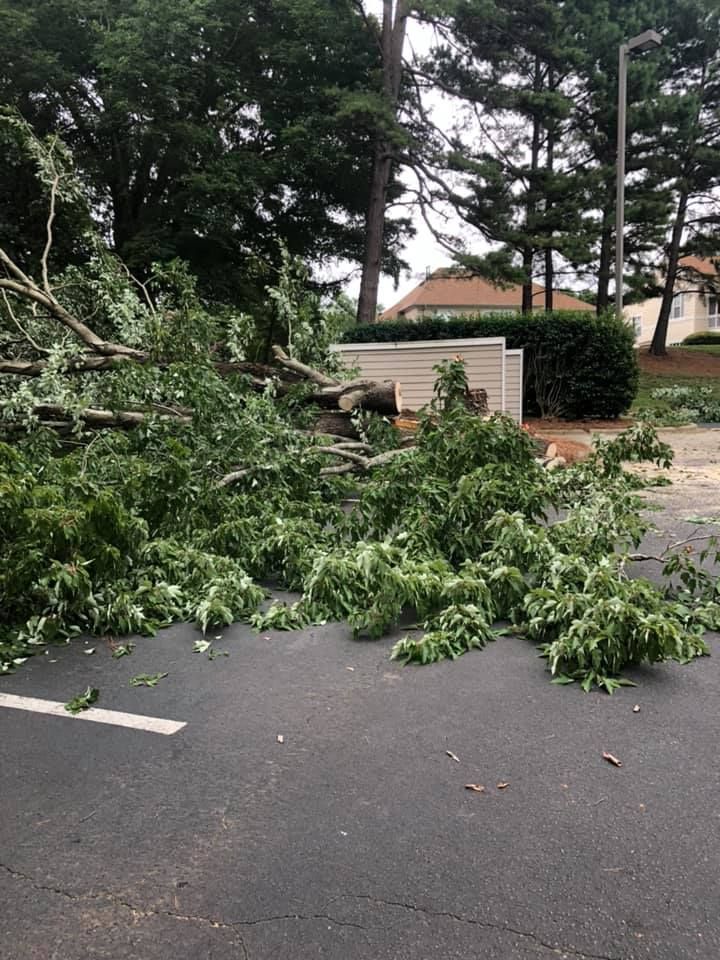  for North Meck Tree & Grounds Specialist in Huntersville, NC
