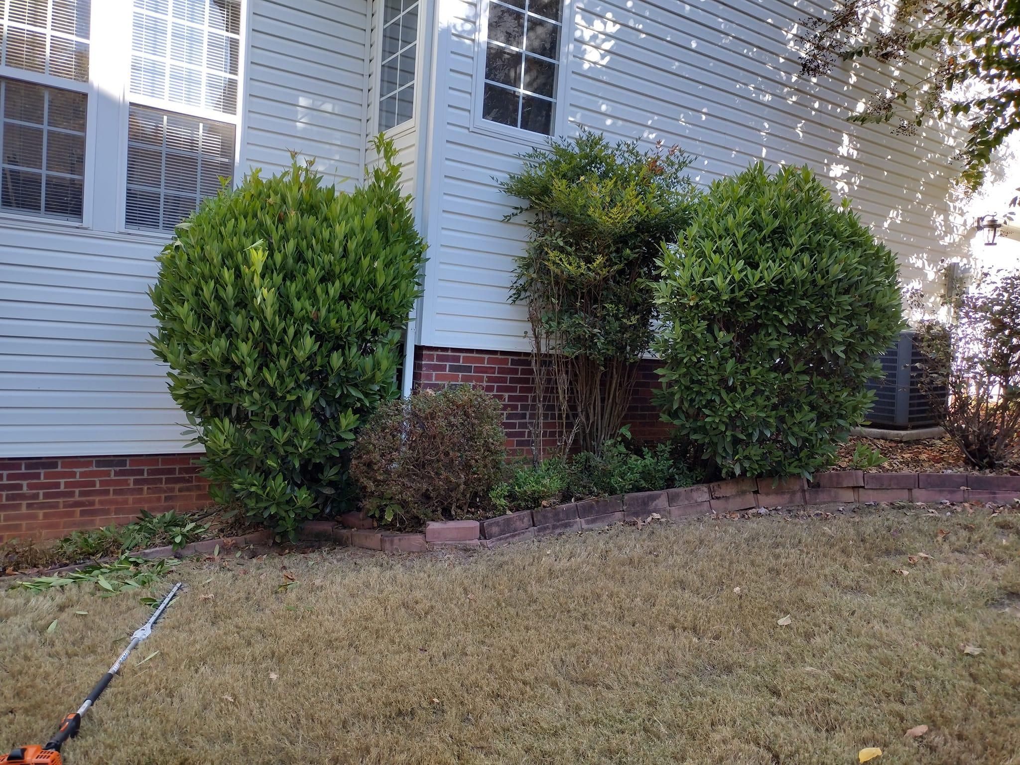  for Palmetto Cuts Lawn Care LLC in Simpsonville, SC