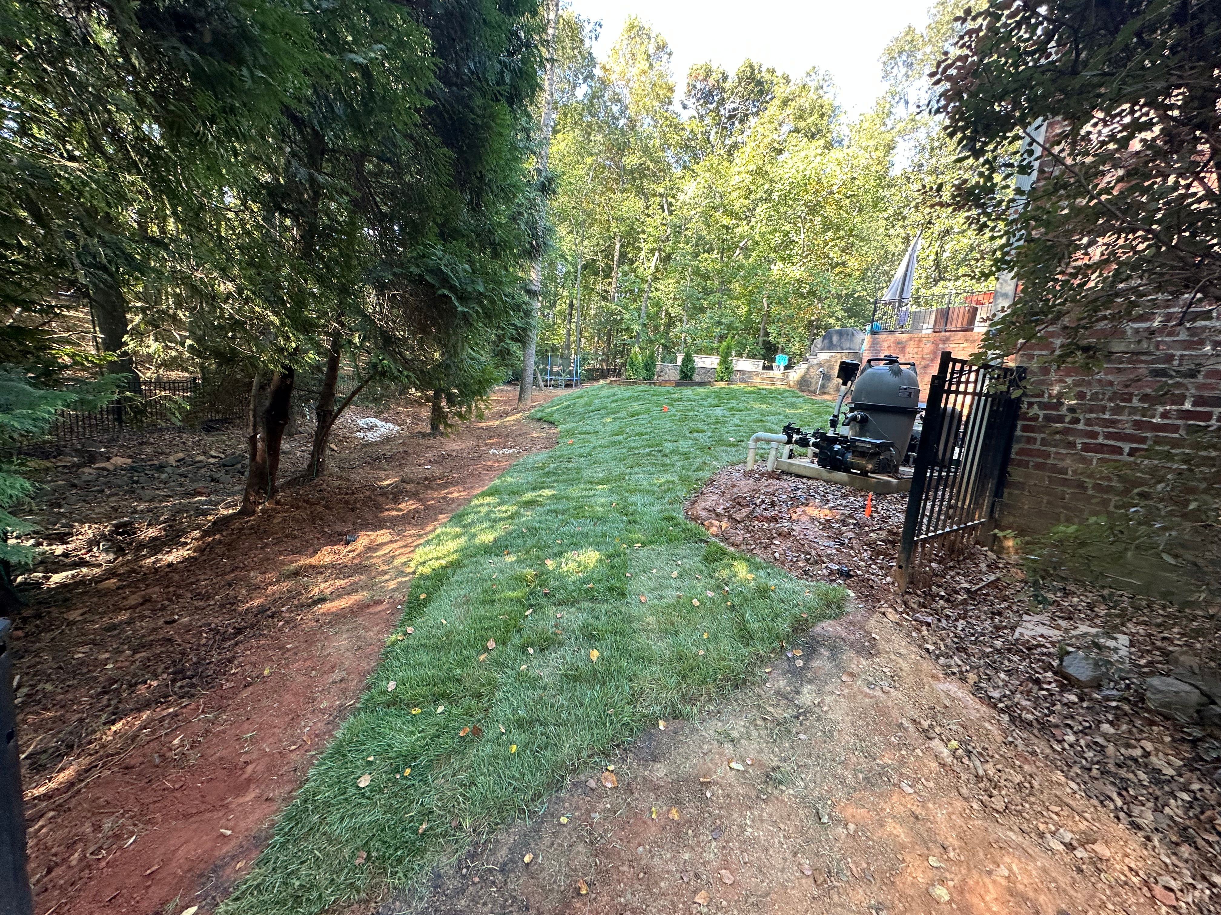 for Pecina Pine Needles in Monroe, NC