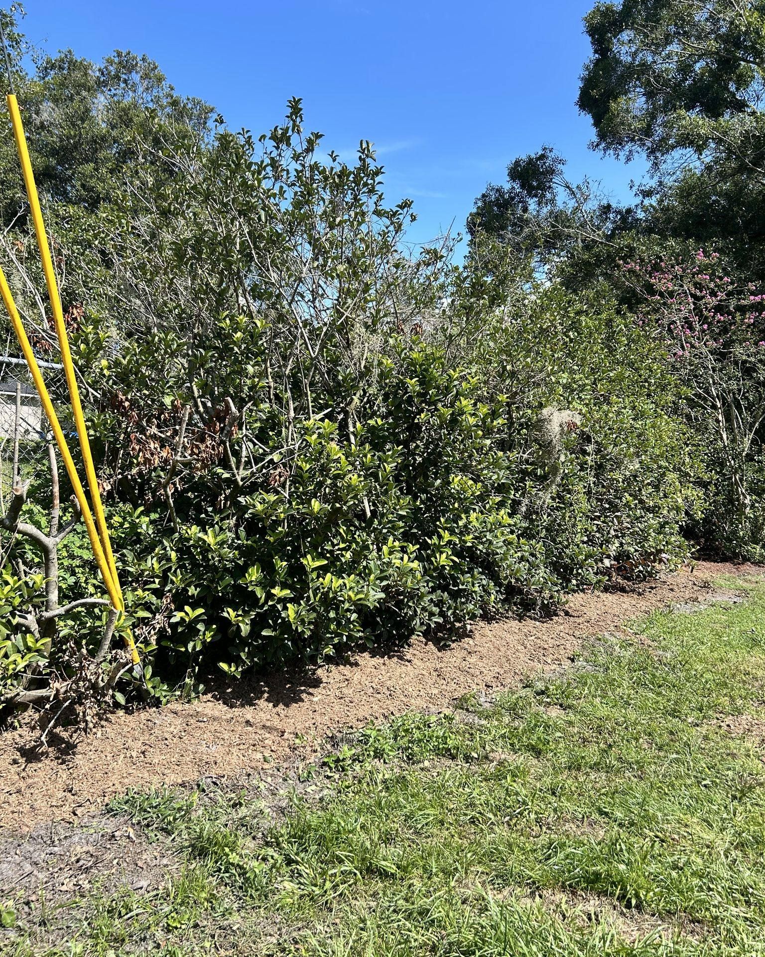  for Greene Acres Stump Grinding in Plant City, FL