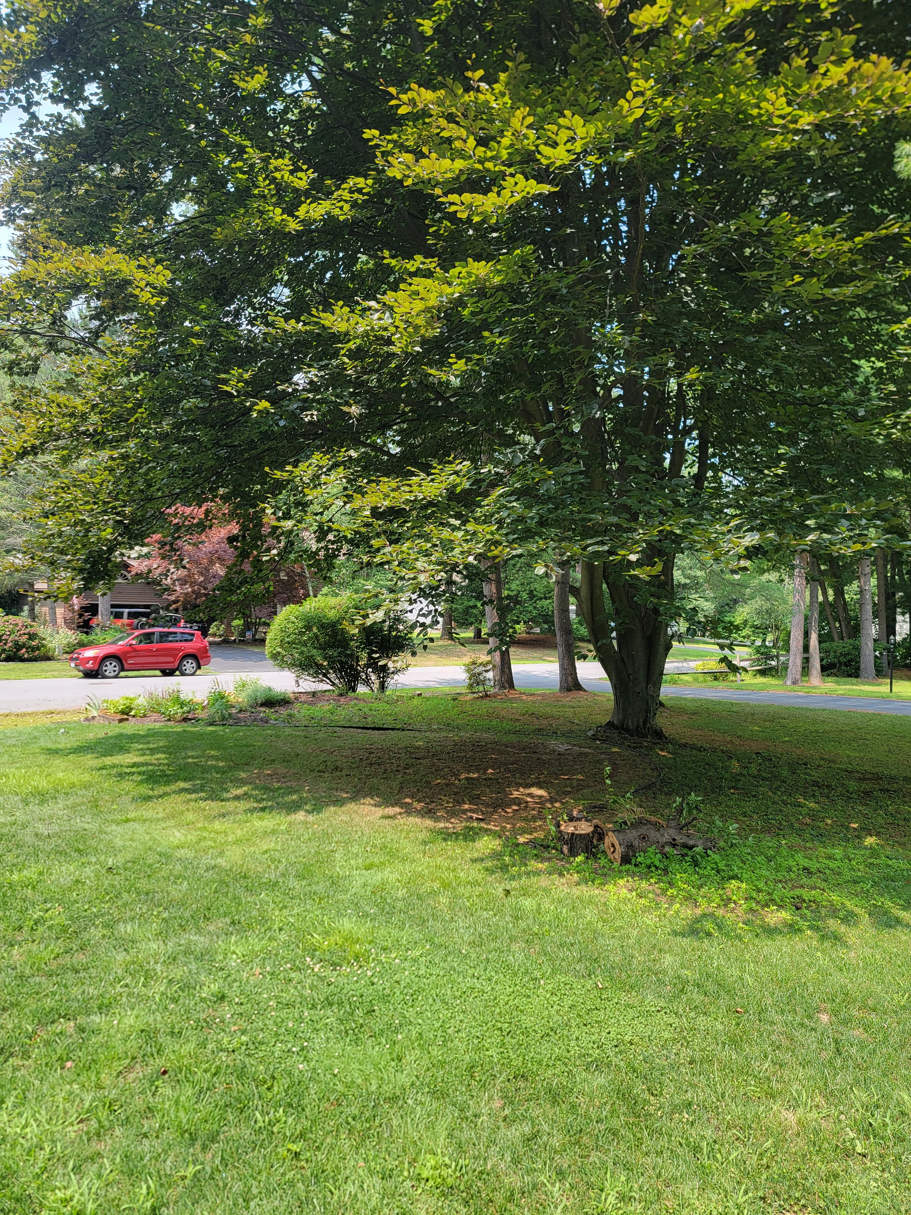  for Sweet Scapes in Ballston Spa, NY