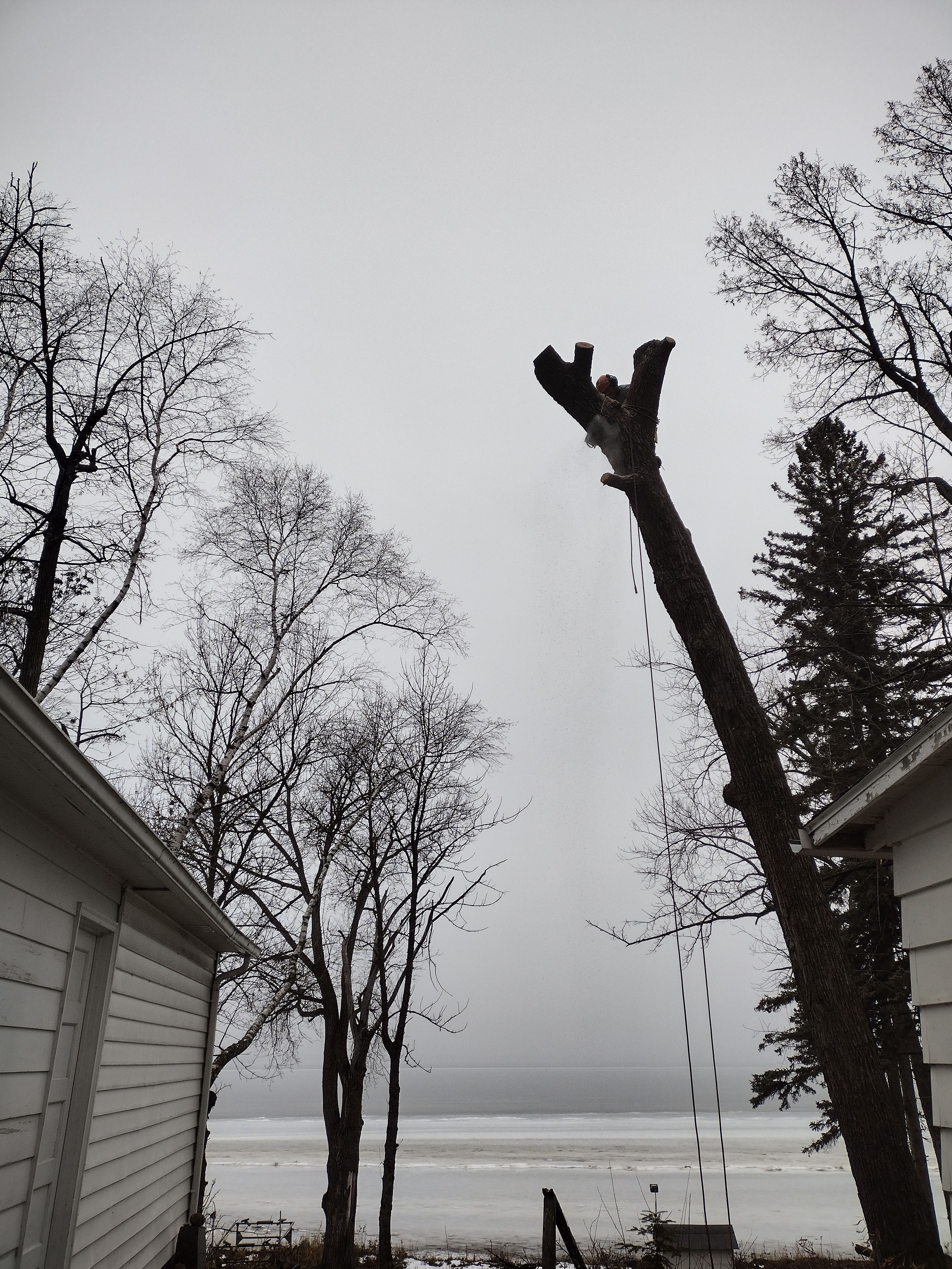  for Dan's Tree Service LLC in Bemidji, MN