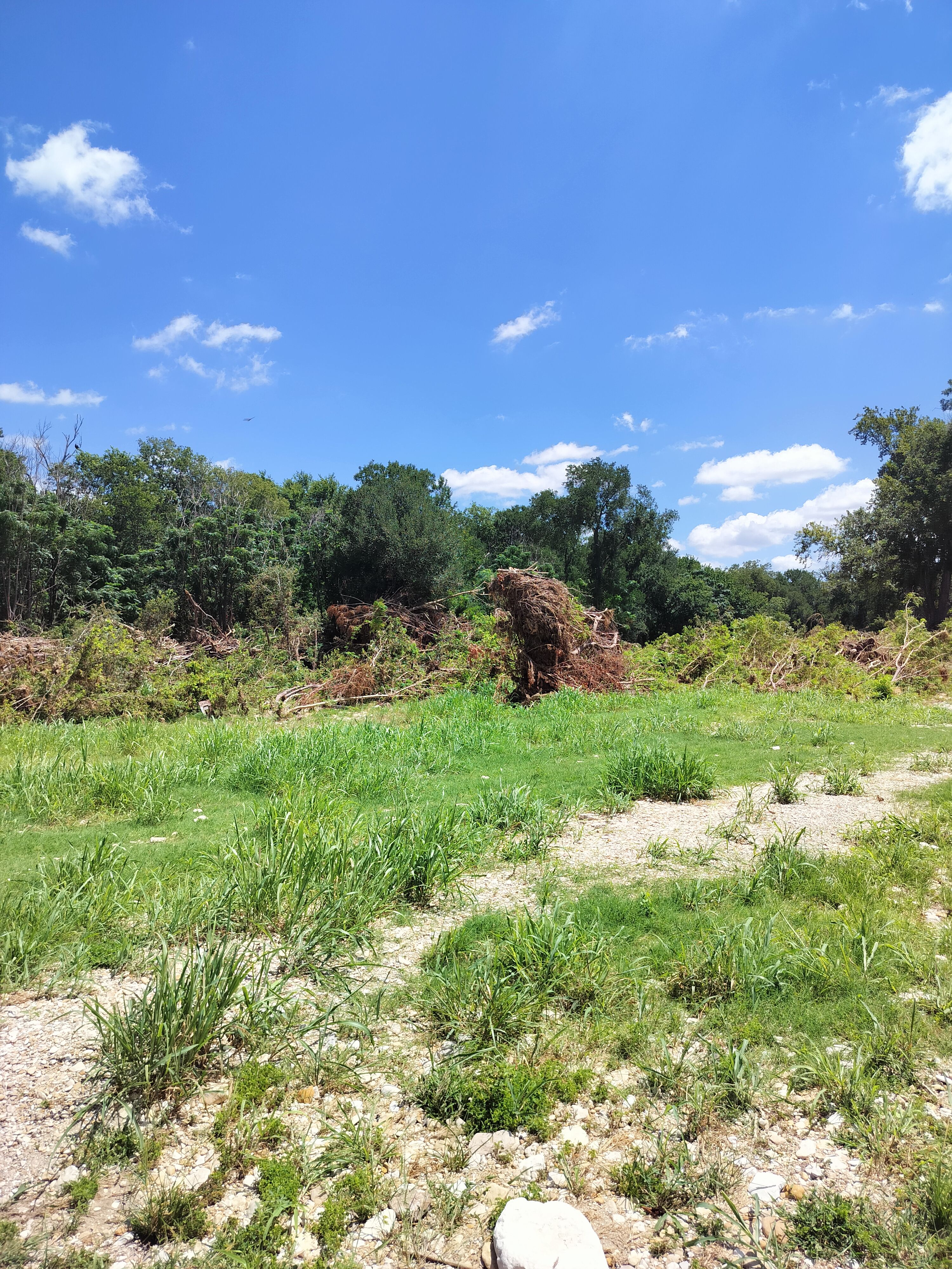  for 512 Land Clearing in Blanco County, TX