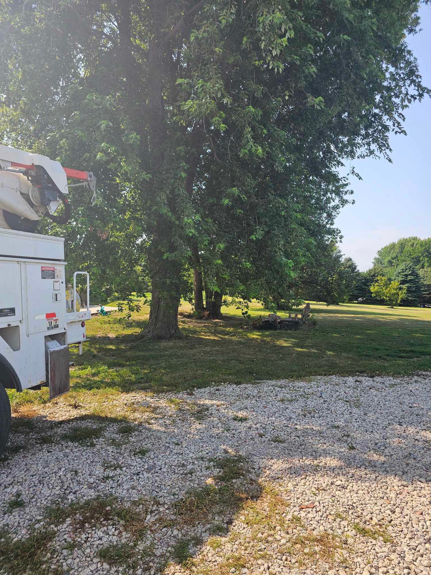 for Tree Tech in Luverne, MN