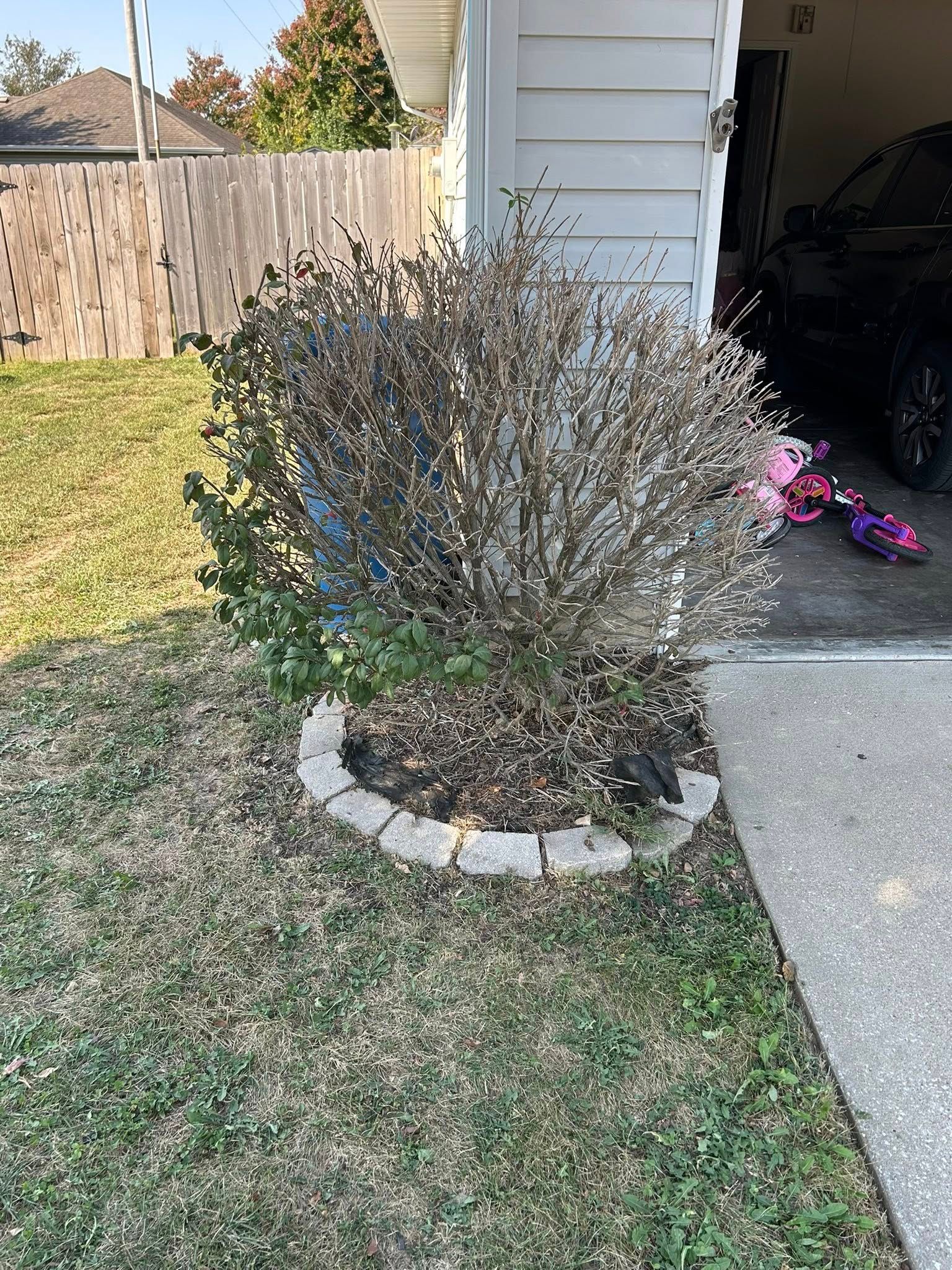 All Photos for Mowraculous in Republic, MO