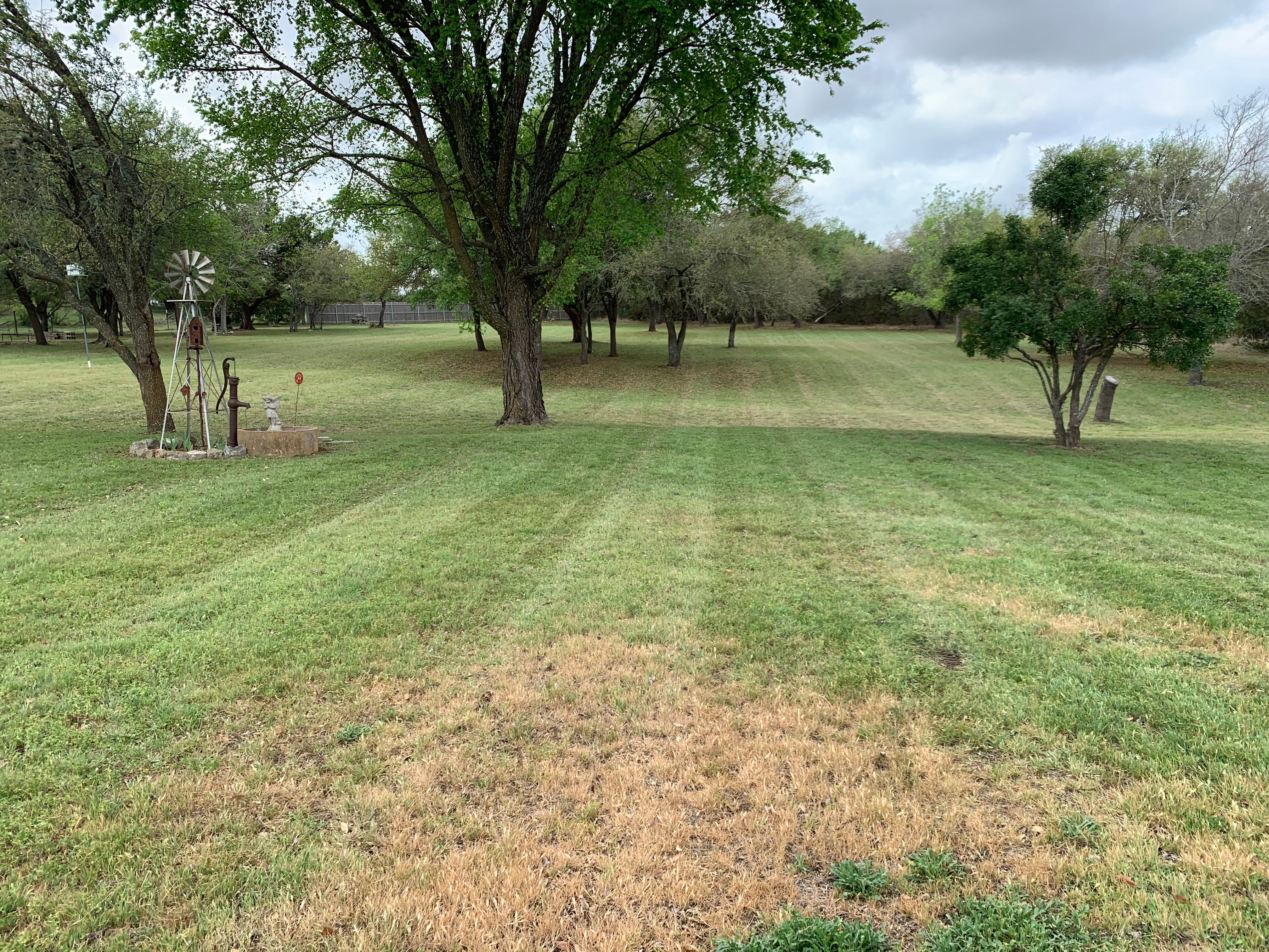  for Scalpel Lawn Service in Temple, TX