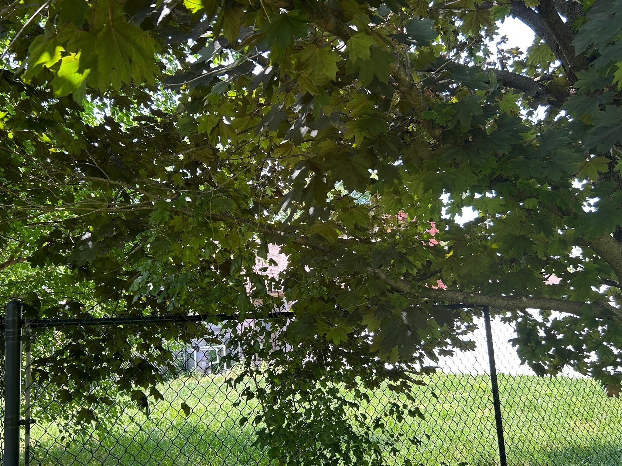  for Bearforce Lawn Care LLC in Greenfield, IN