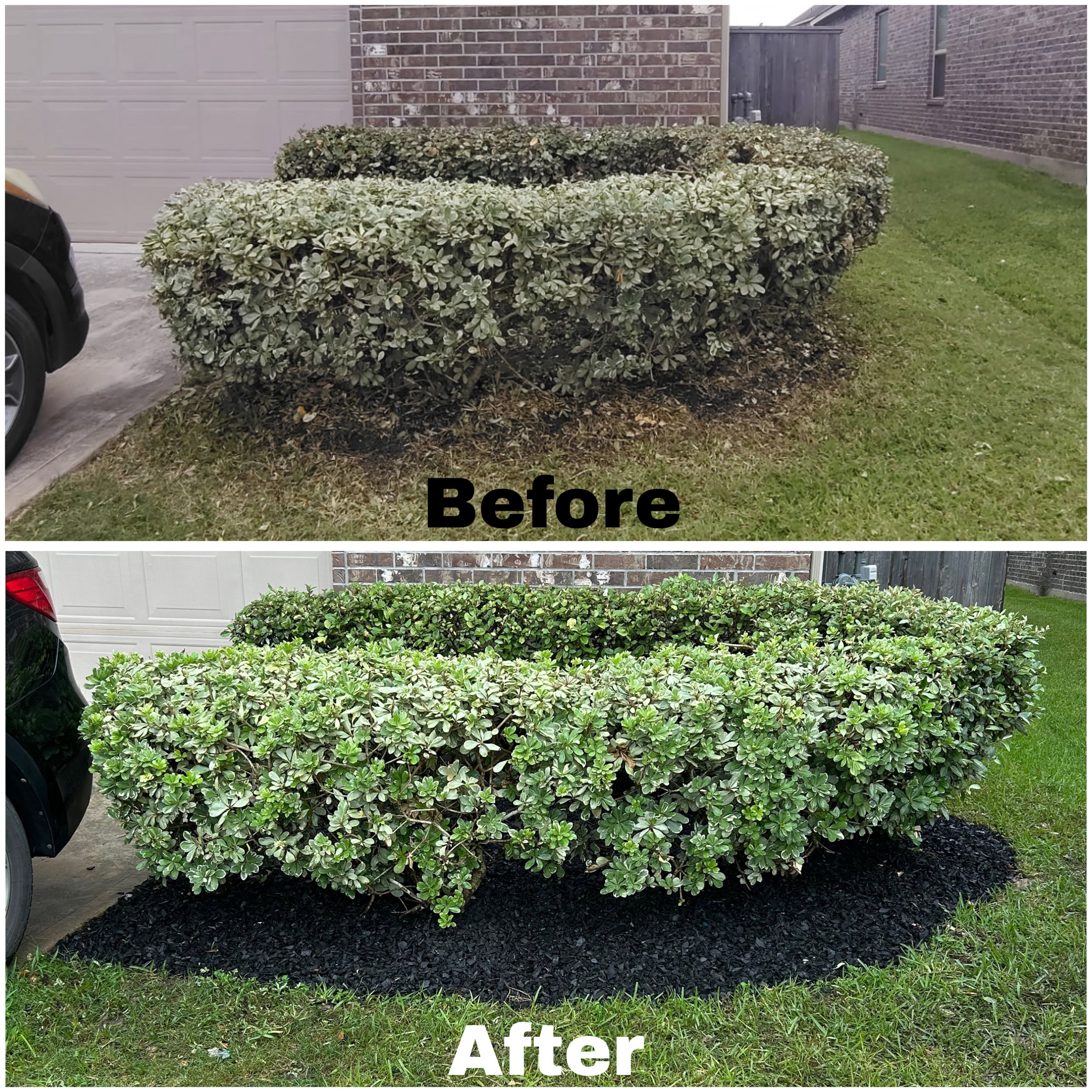  for Faith LEC Services LLC in Houston, TX