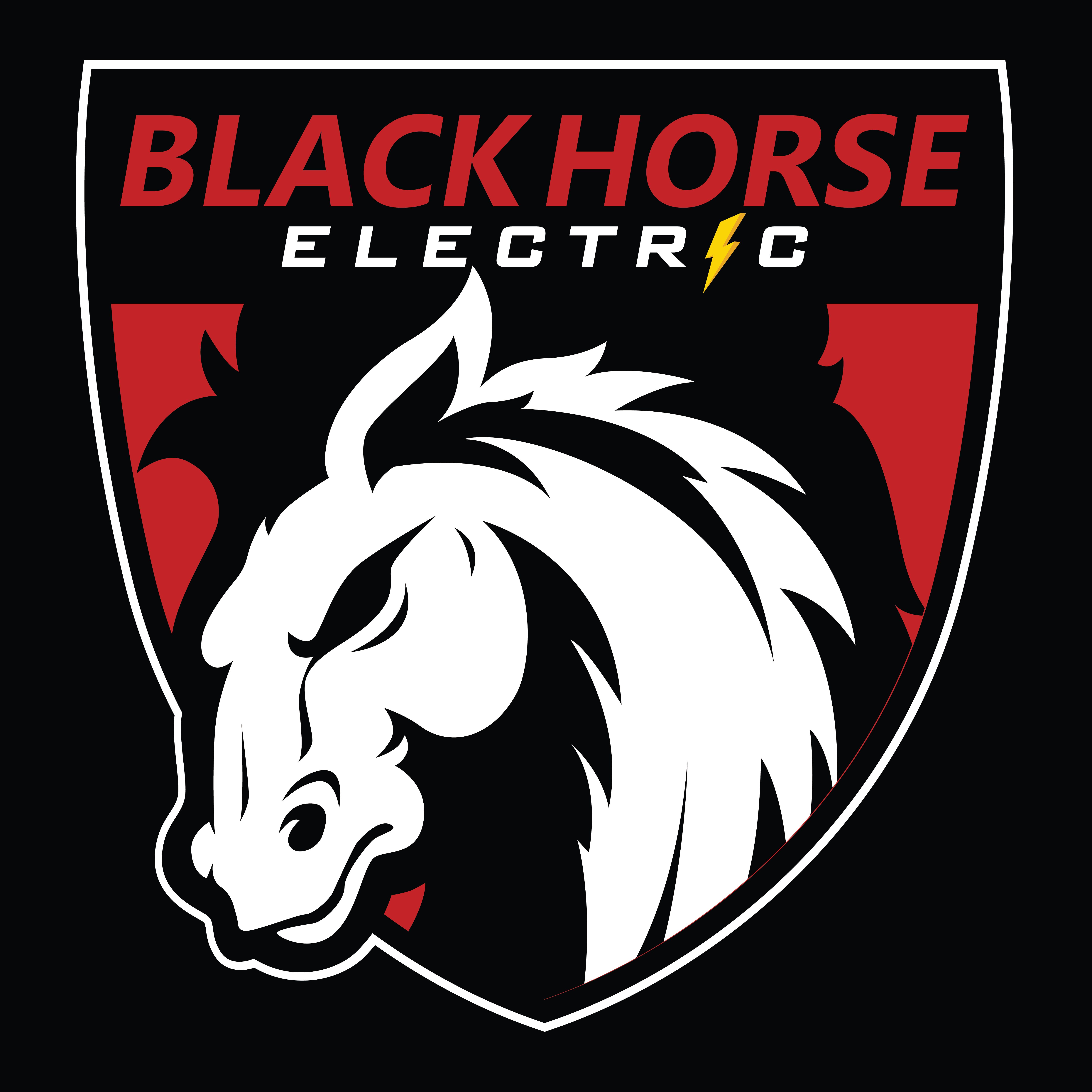  for Black Horse Electric in Edmonton, AB