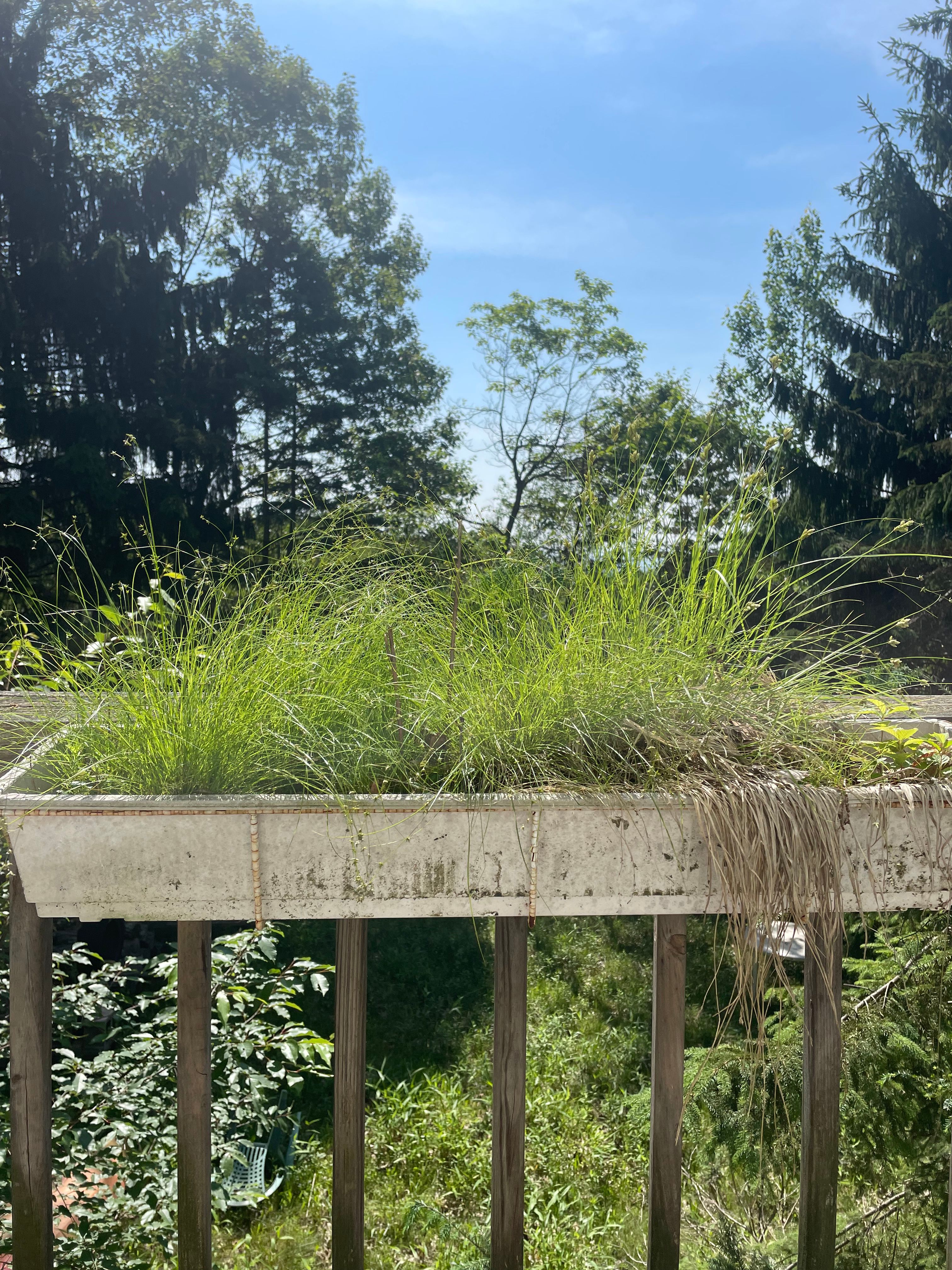  for Galactic Reiki in Mount Pocono, PA