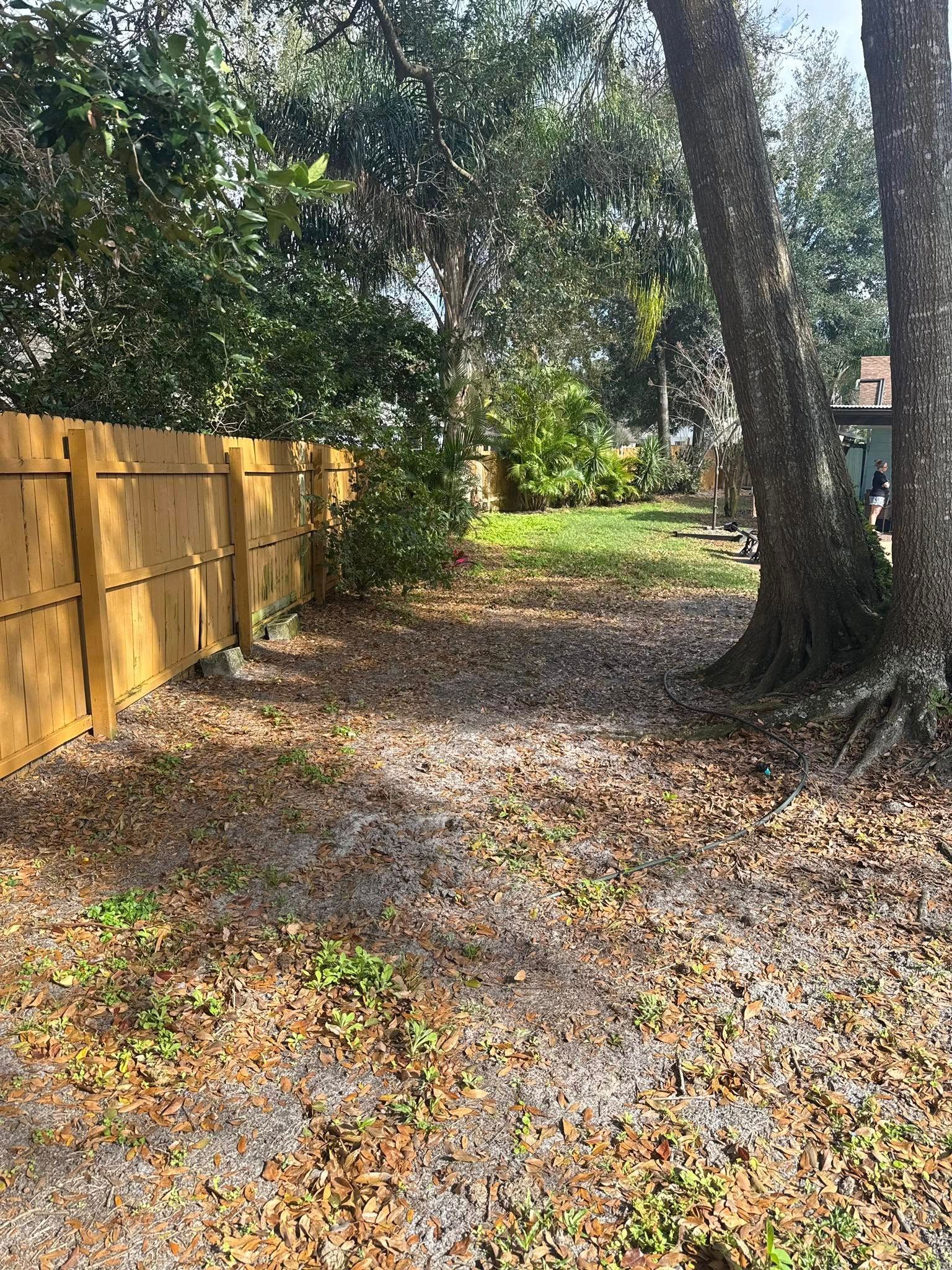 for Amerigrown Tree And Lawn in Apopka, FL