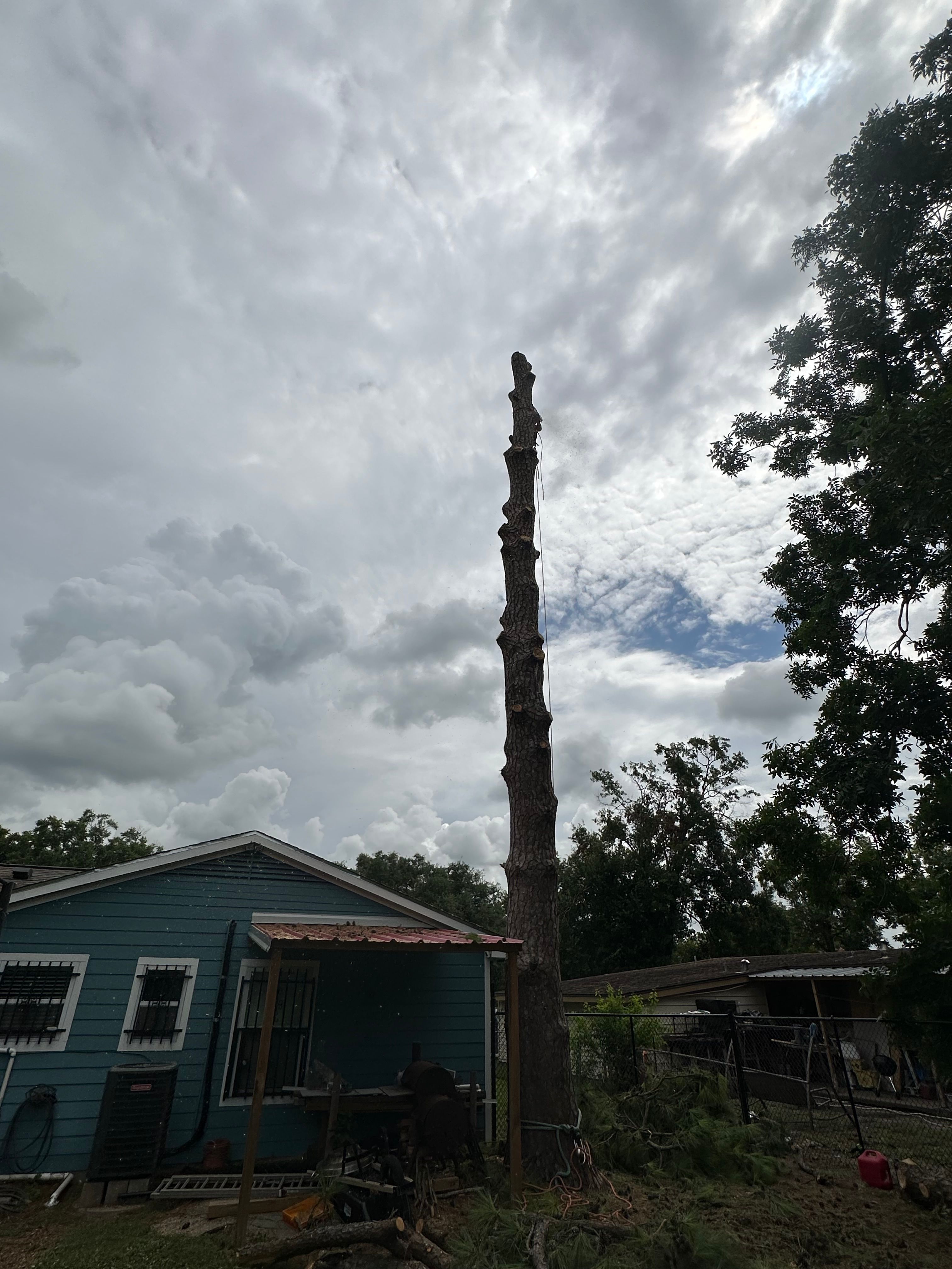  for C&B Ramos Tree Service in Houston, TX