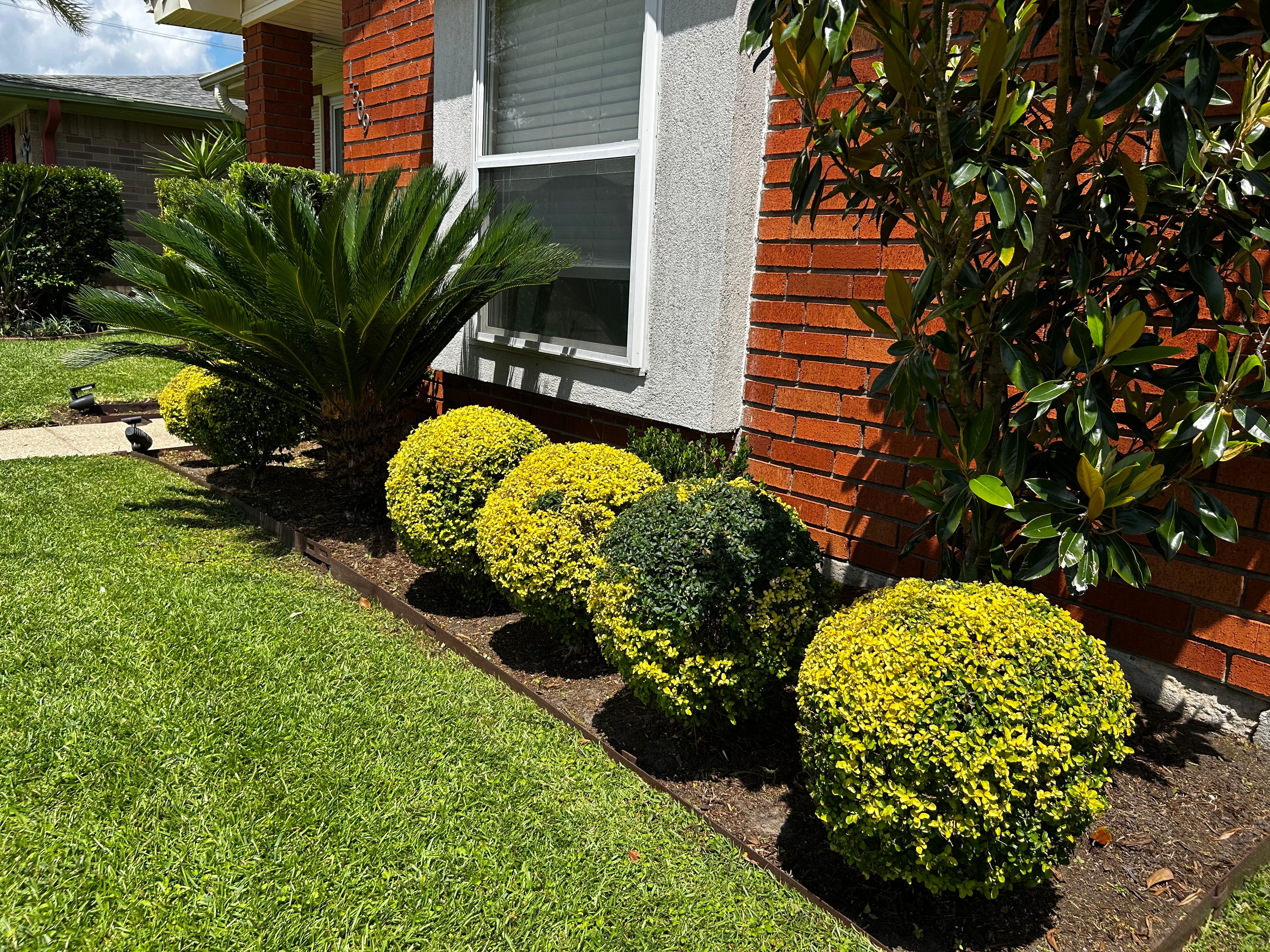  for Jay C’s Touch Landscaping & Pressure Washing Services LLC in Marrero, LA
